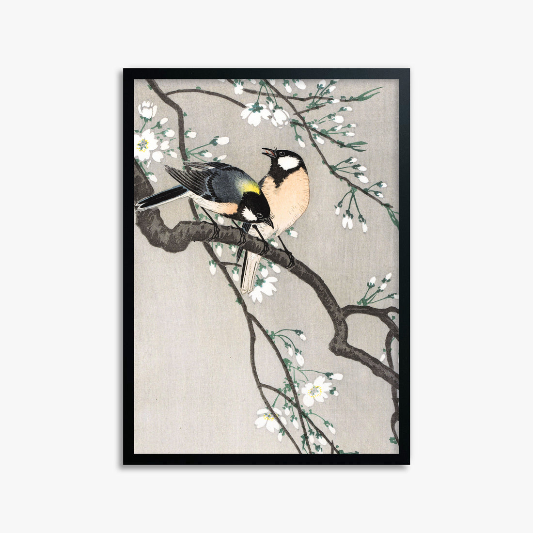 Ohara Koson: Tits on Cherry Branch, 50x70cm Framed Art Reproduction With Black Frame
