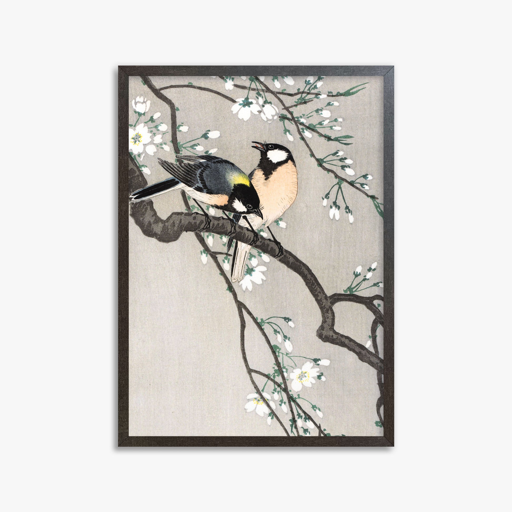 Ohara Koson: Tits on Cherry Branch, 50x70cm Framed Art Reproduction With Espresso Frame