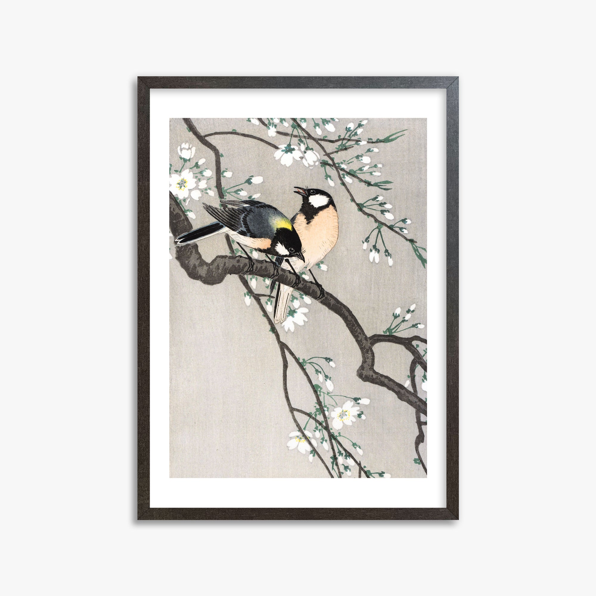 Ohara Koson: Tits on Cherry Branch, 50x70cm Framed Art Reproduction With Espresso Frame
