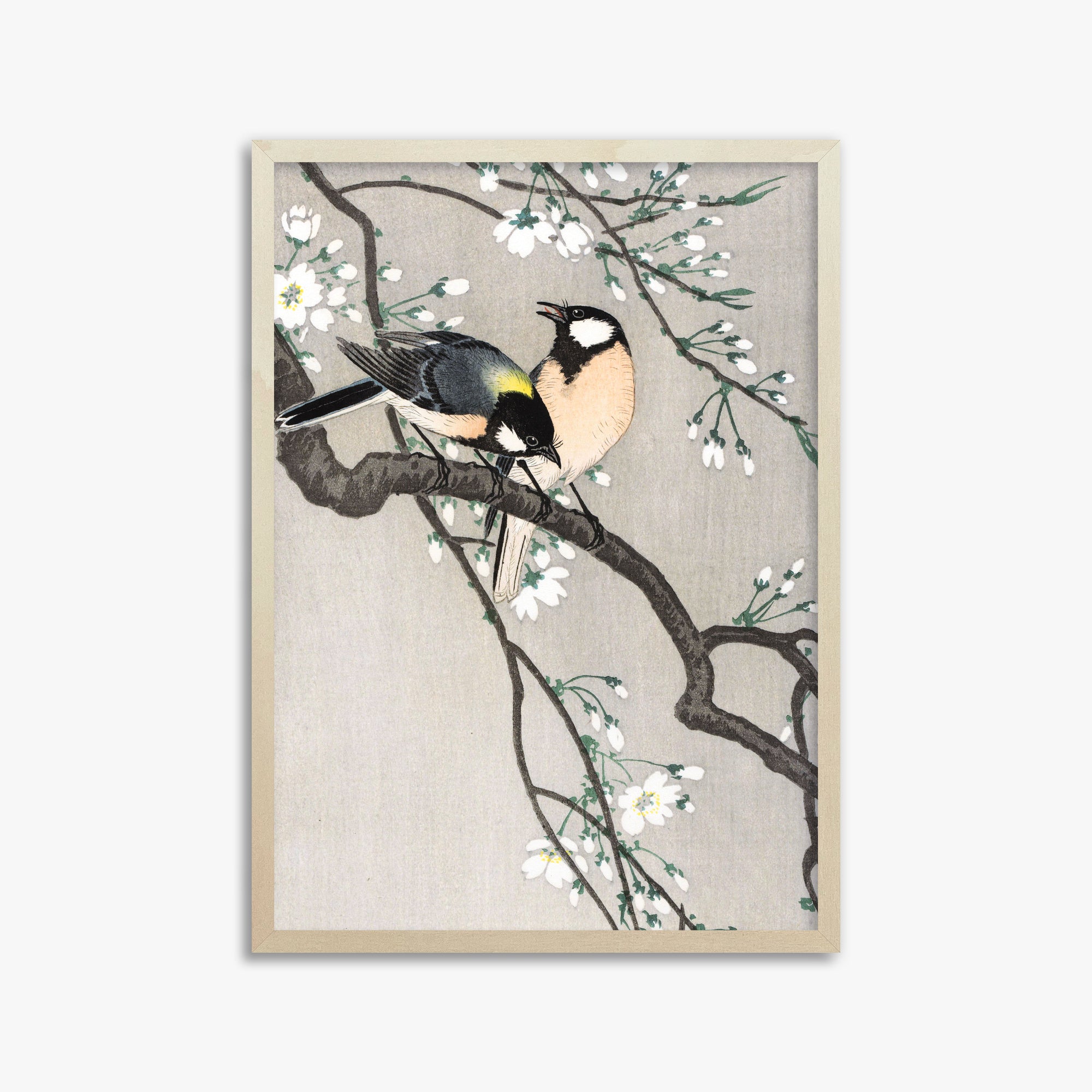 Ohara Koson: Tits on Cherry Branch, 50x70cm Framed Art Reproduction With Lime Wood Frame