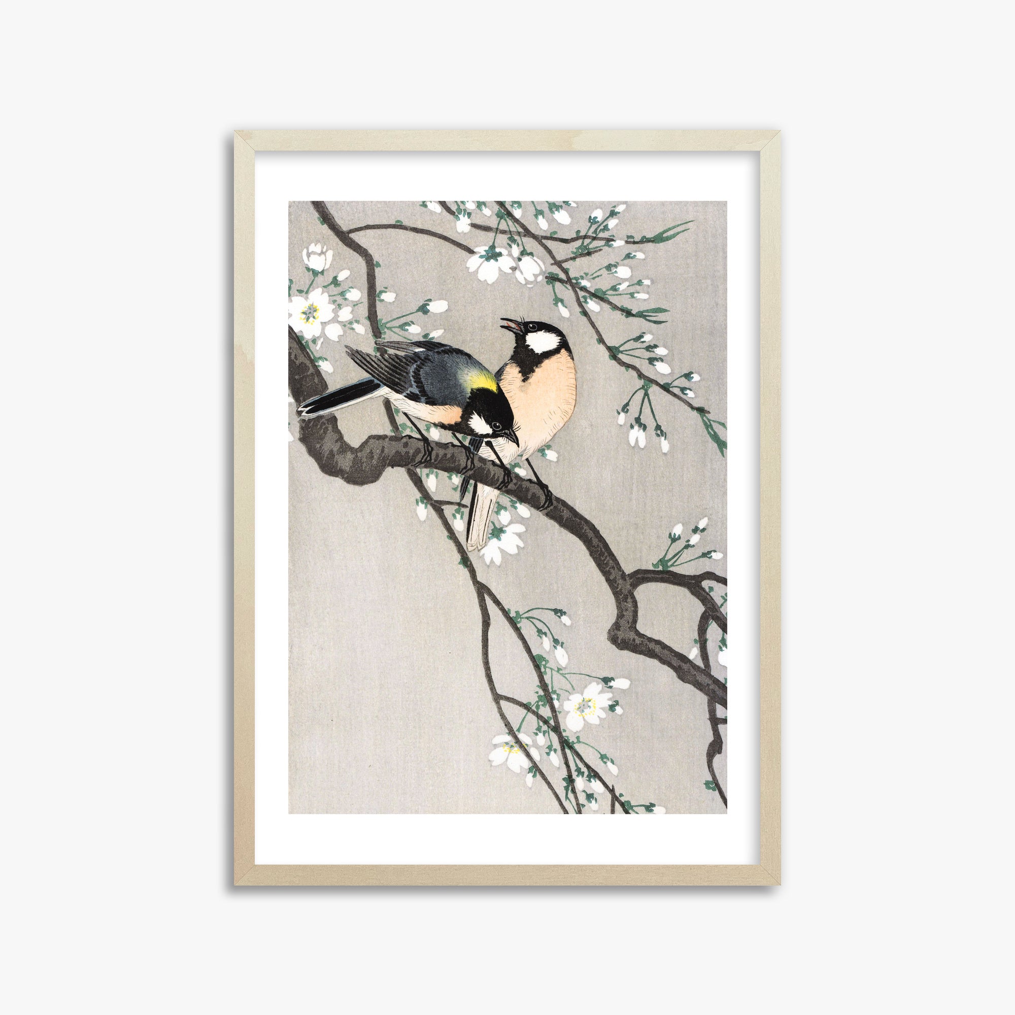 Ohara Koson: Tits on Cherry Branch, 50x70cm Framed Art Reproduction With Lime Wood Frame