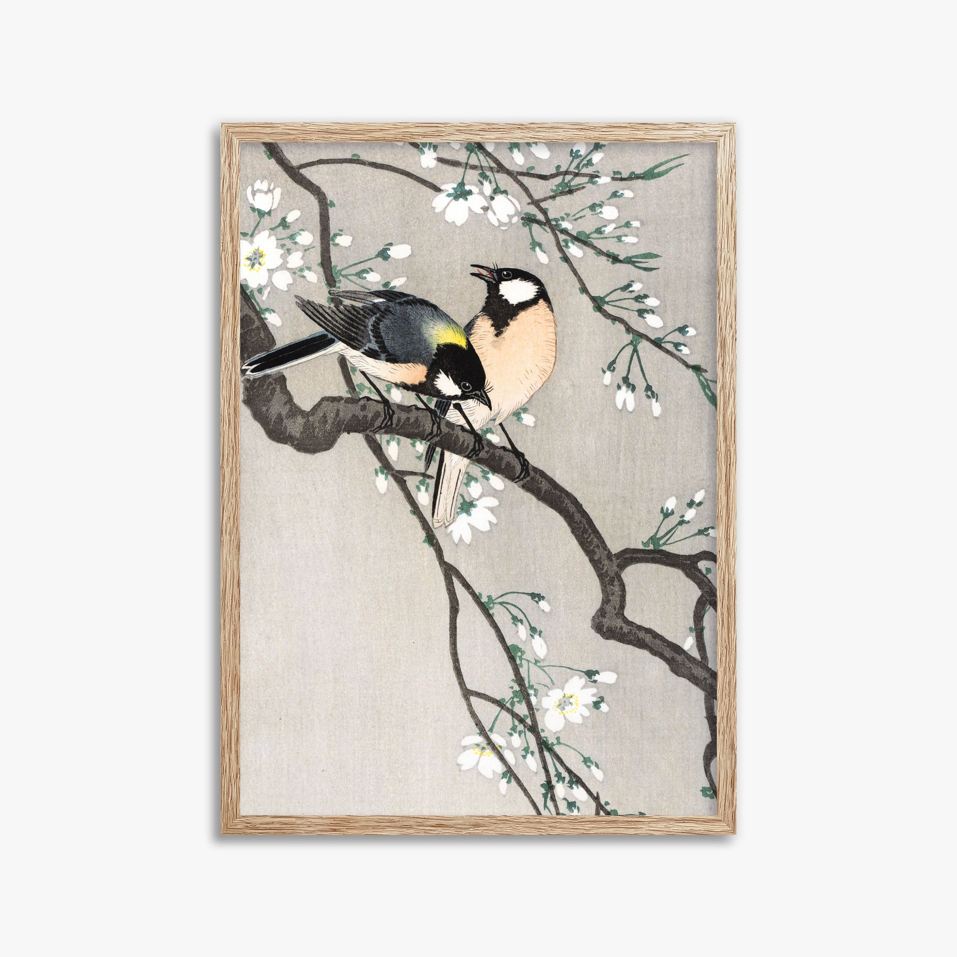 Ohara Koson: Tits on Cherry Branch, 50x70cm Framed Art Reproduction With Raw Oak Frame