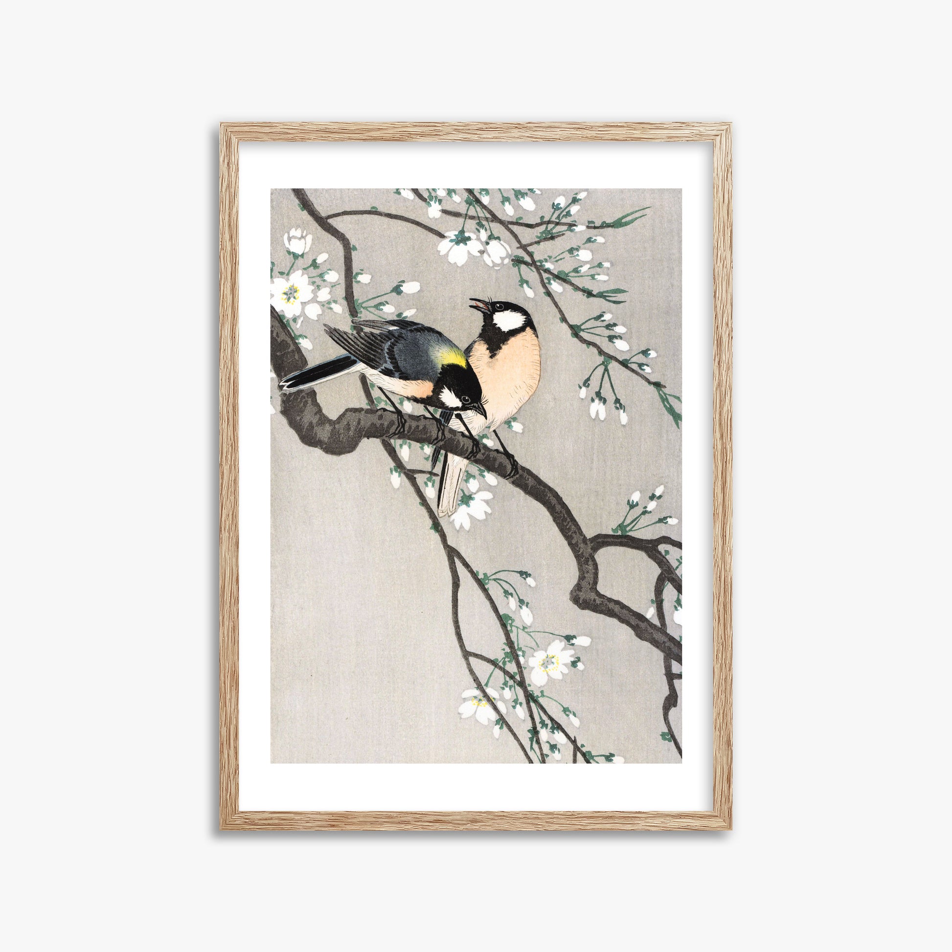 Ohara Koson: Tits on Cherry Branch, 50x70cm Framed Art Reproduction With Raw Oak Frame
