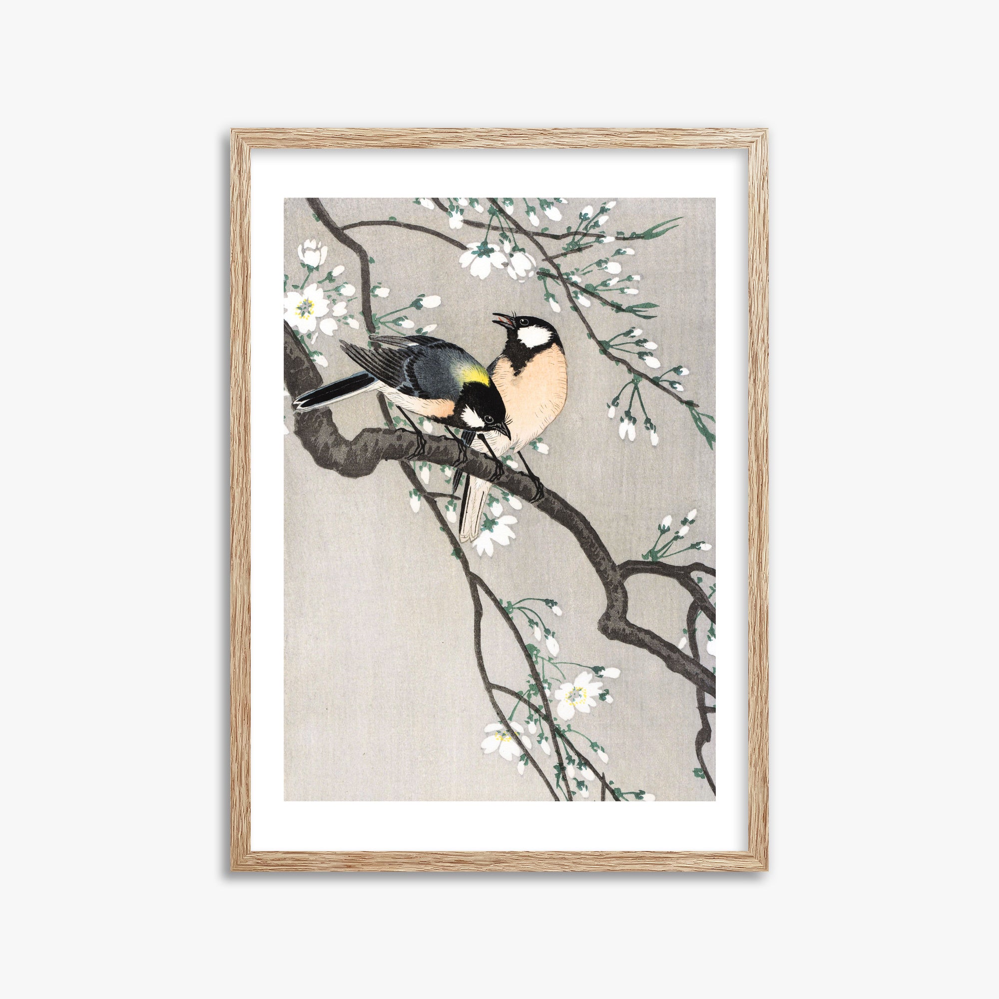 Ohara Koson: Tits on Cherry Branch, 50x70cm Framed Art Reproduction With Raw Oak Frame