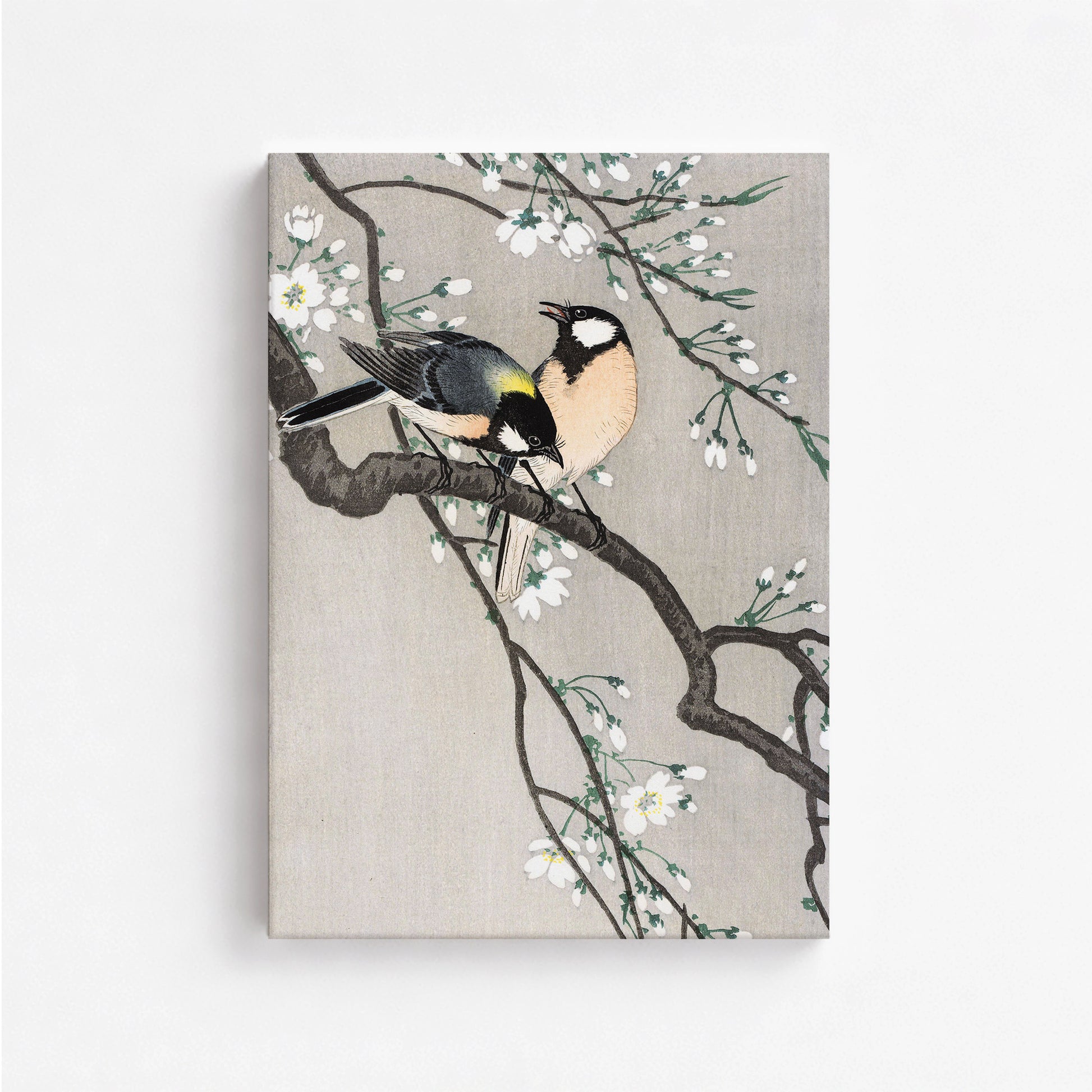 Ohara Koson: Tits on Cherry Branch, 50x70cm Satin Canvas Art Reproduction
