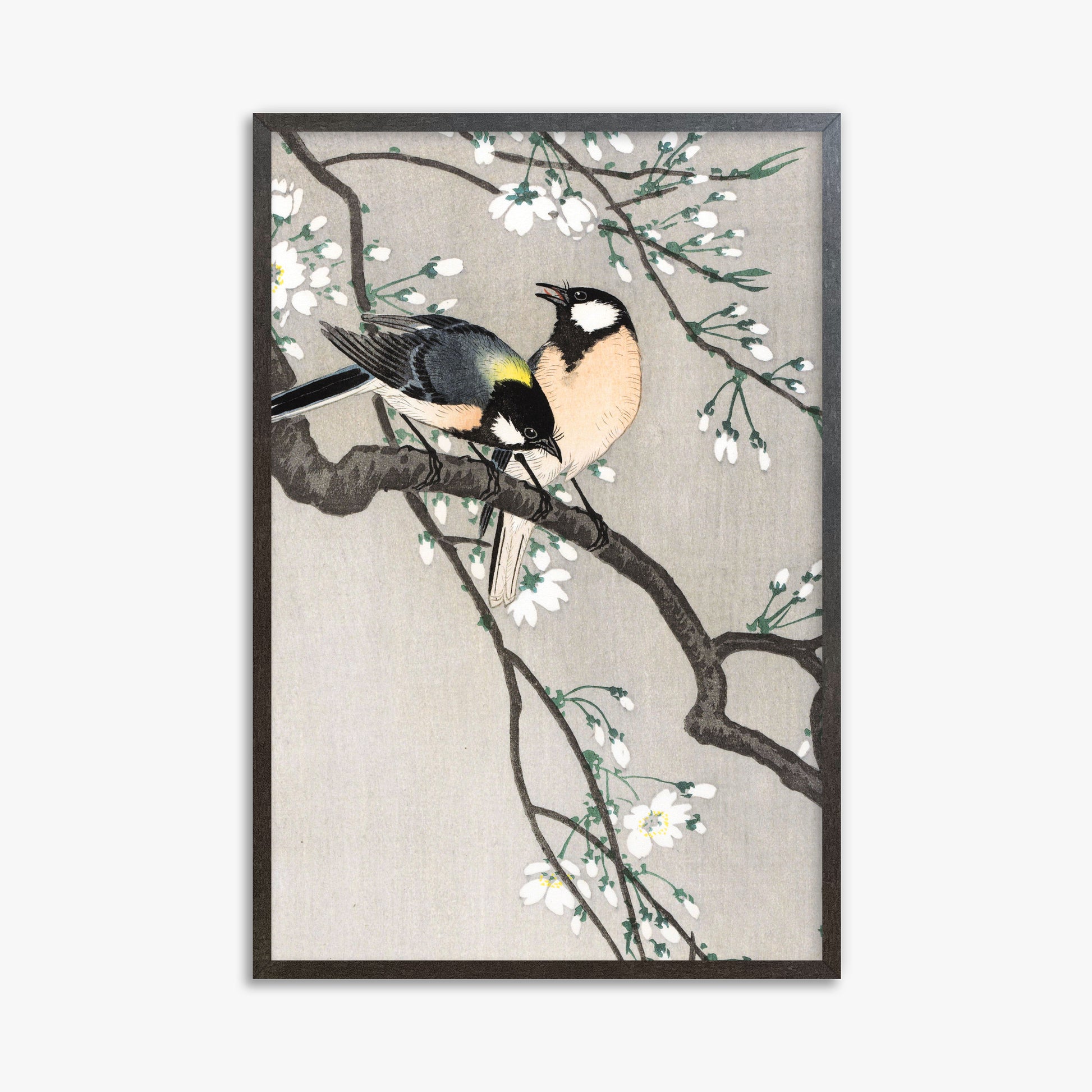 Ohara Koson: Tits on Cherry Branch, 61x91cm Framed Art Reproduction With Espresso Frame