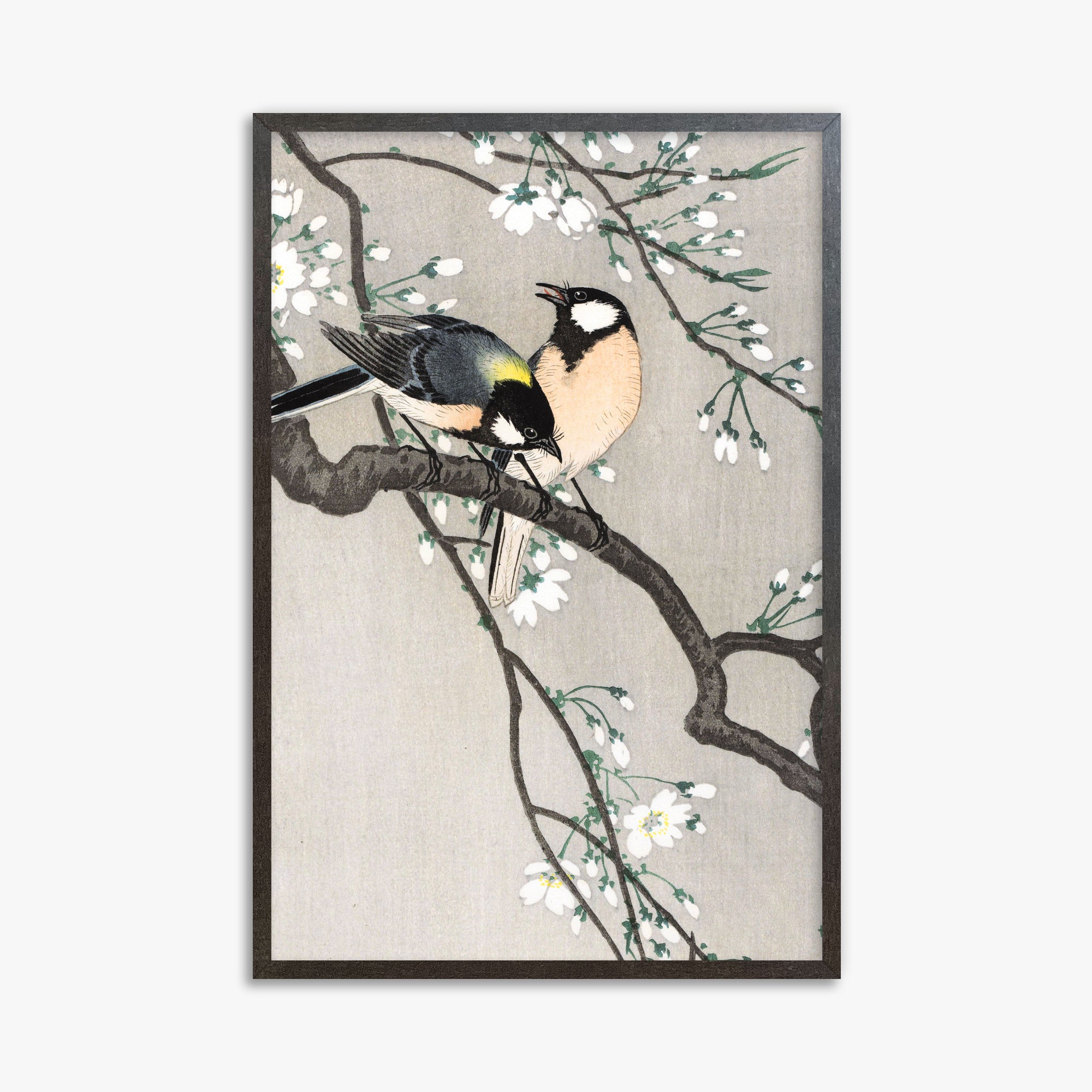 Ohara Koson: Tits on Cherry Branch, 61x91cm Framed Art Reproduction With Espresso Frame