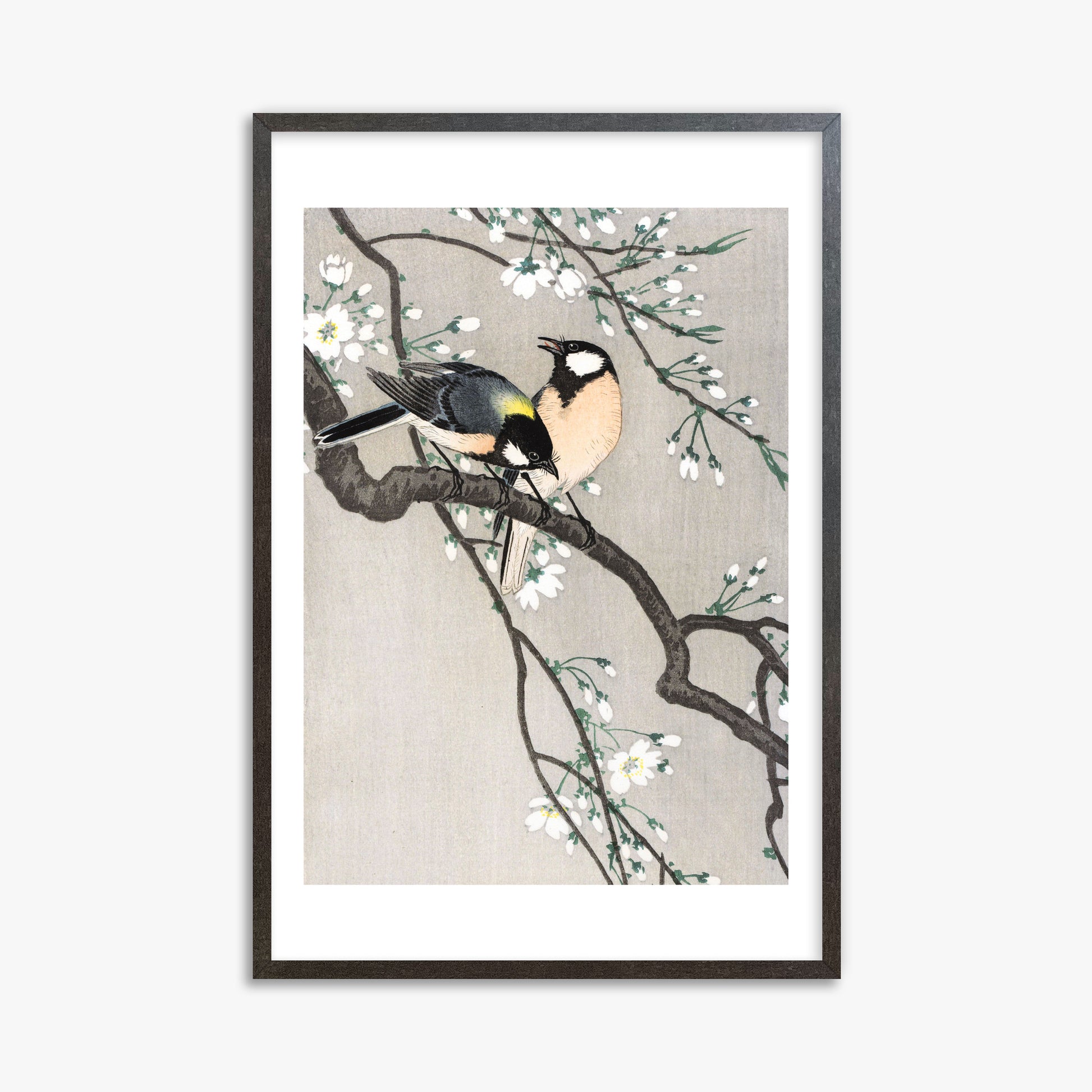 Ohara Koson: Tits on Cherry Branch, 61x91cm Framed Art Reproduction With Espresso Frame