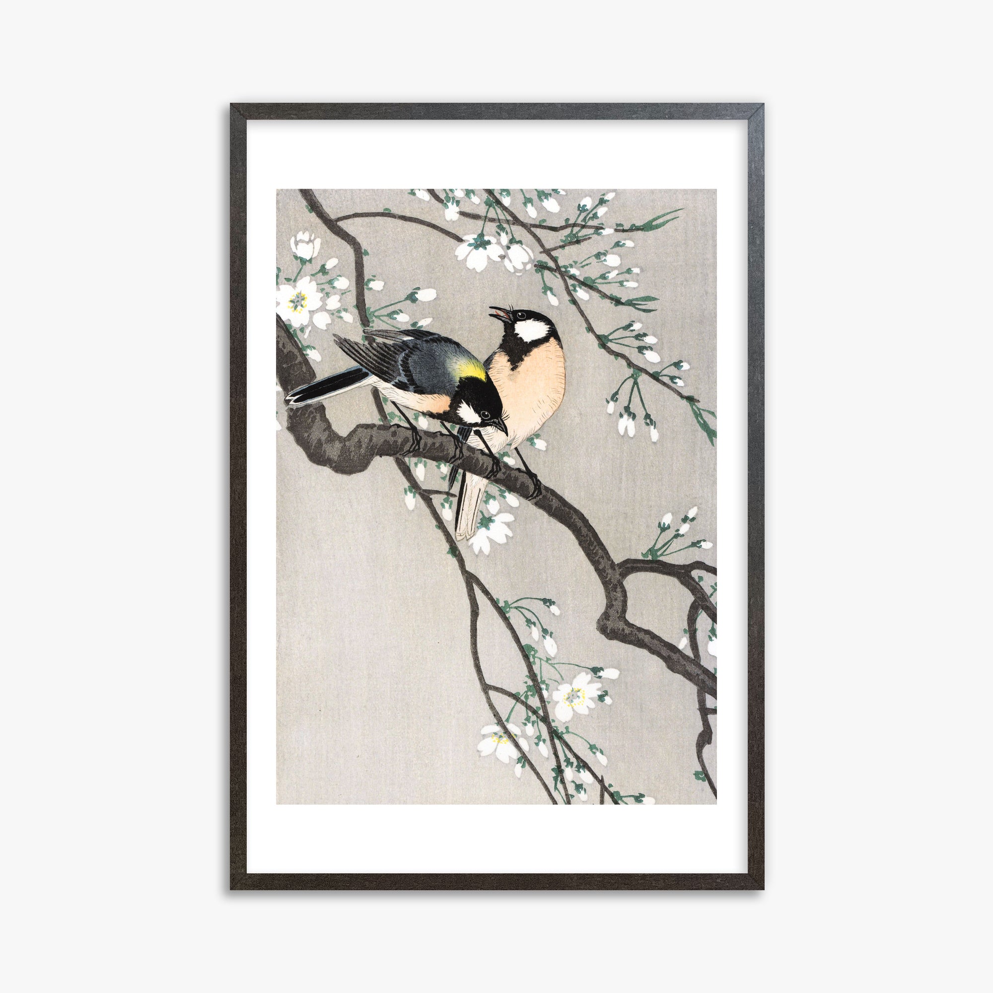 Ohara Koson: Tits on Cherry Branch, 61x91cm Framed Art Reproduction With Espresso Frame