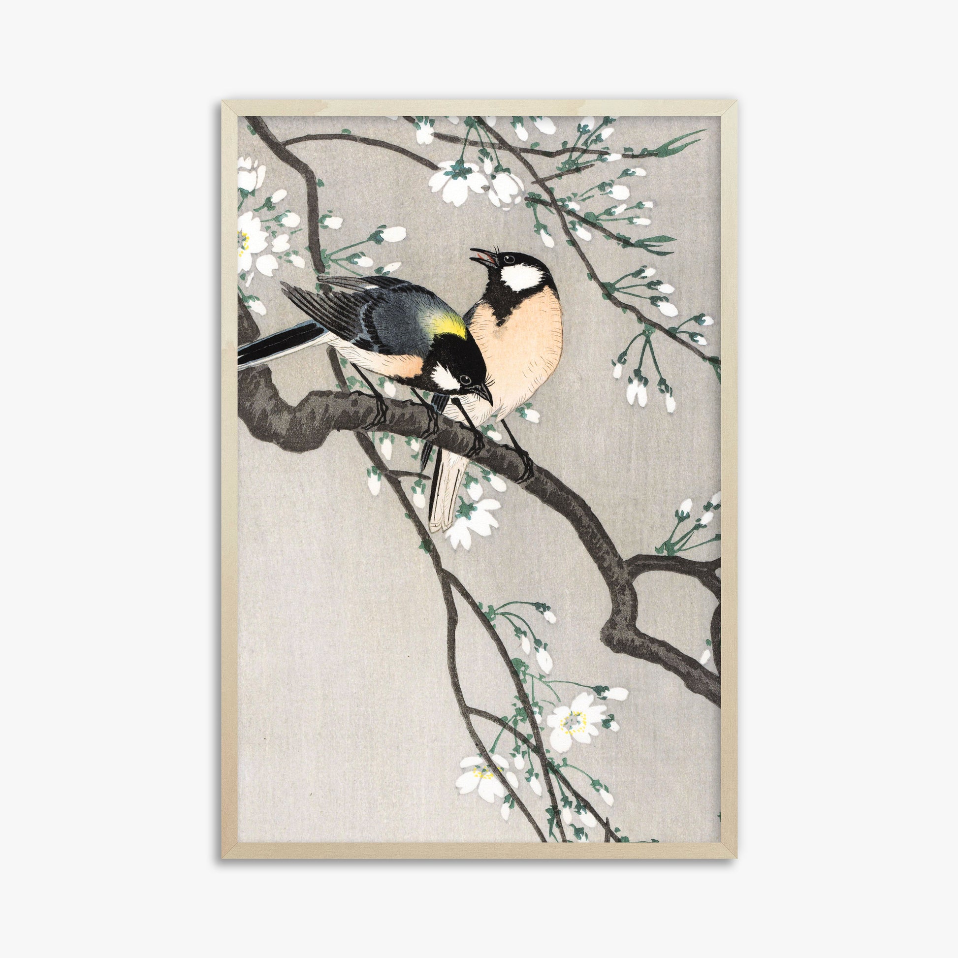 Ohara Koson: Tits on Cherry Branch, 61x91cm Framed Art Reproduction With Lime Wood Frame