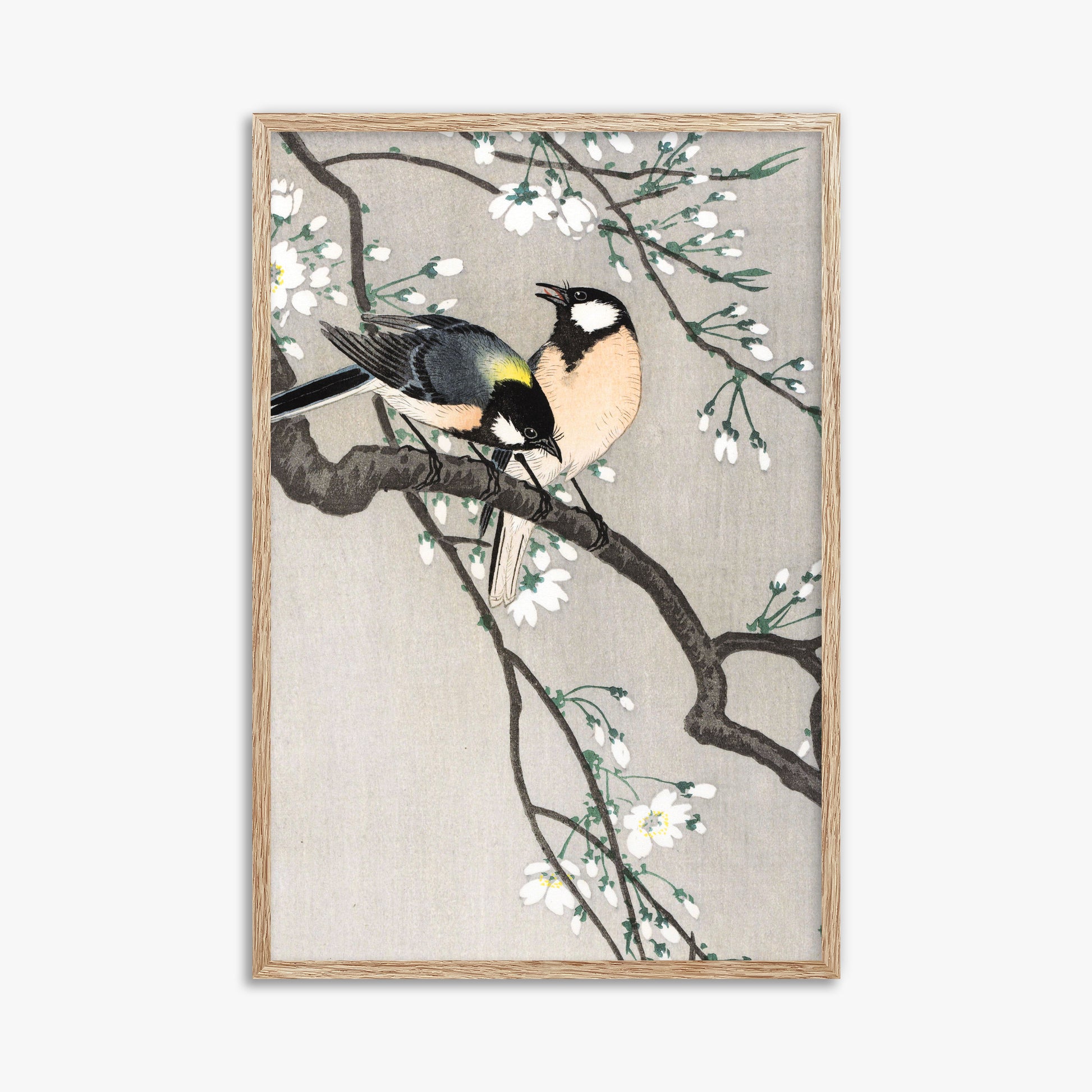 Ohara Koson: Tits on Cherry Branch, 61x91cm Framed Art Reproduction With Raw Oak Frame
