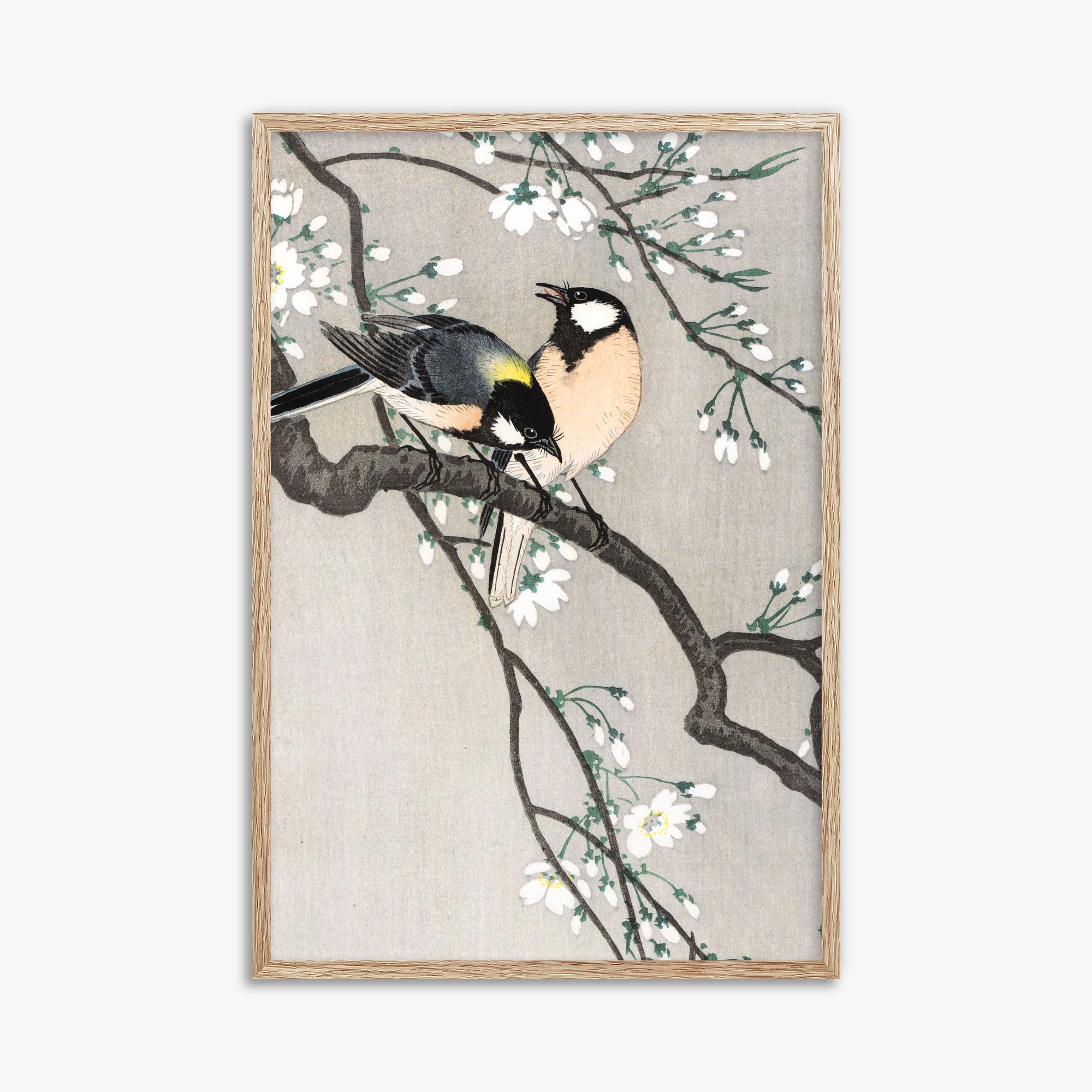 Ohara Koson: Tits on Cherry Branch, 61x91cm Framed Art Reproduction With Raw Oak Frame