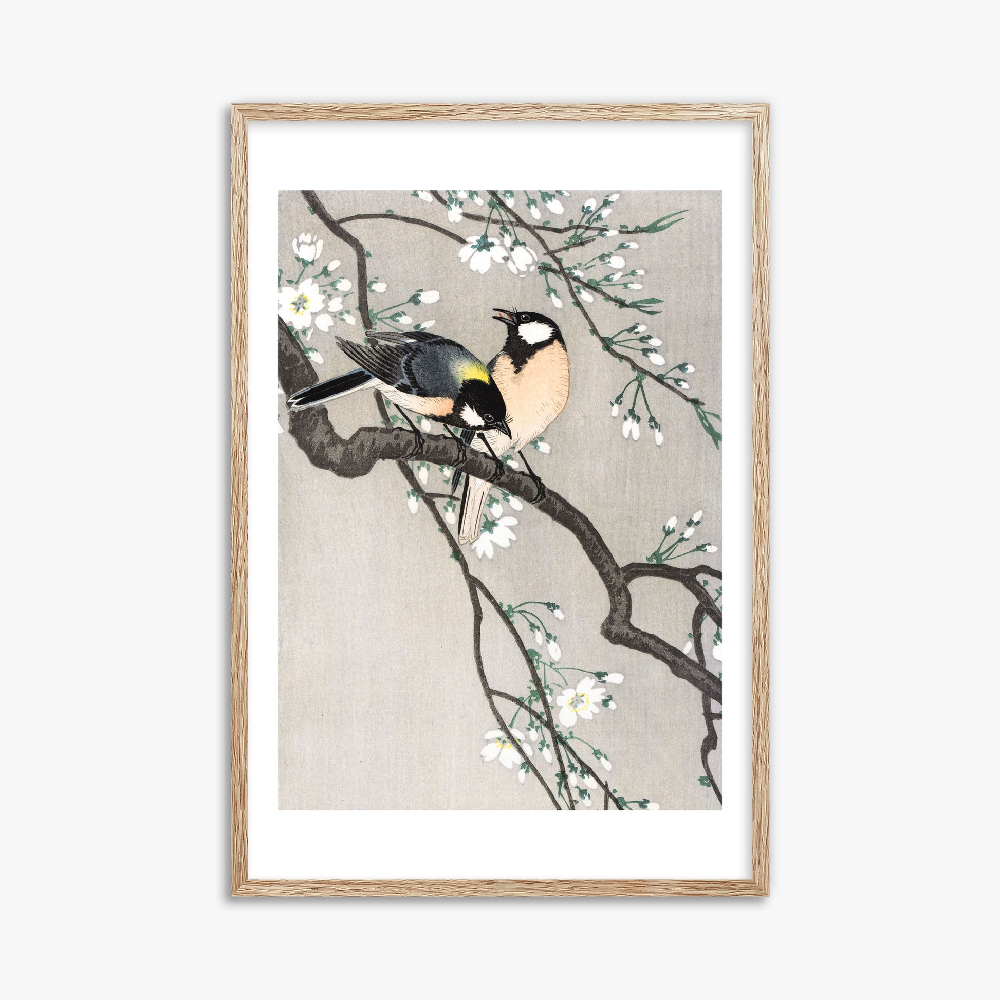 Ohara Koson: Tits on Cherry Branch, 61x91cm Framed Art Reproduction With Raw Oak Frame