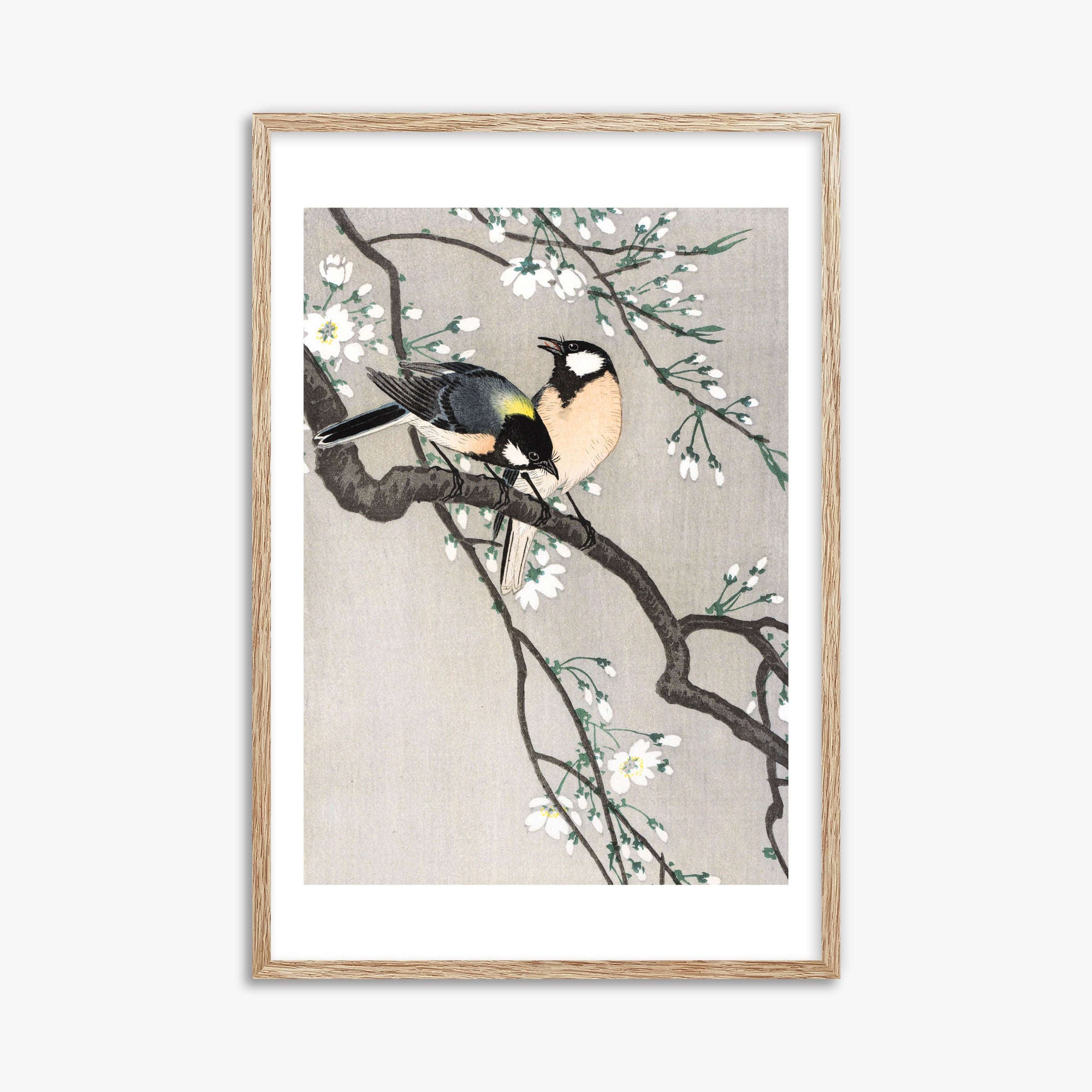 Ohara Koson: Tits on Cherry Branch, 61x91cm Framed Art Reproduction With Raw Oak Frame