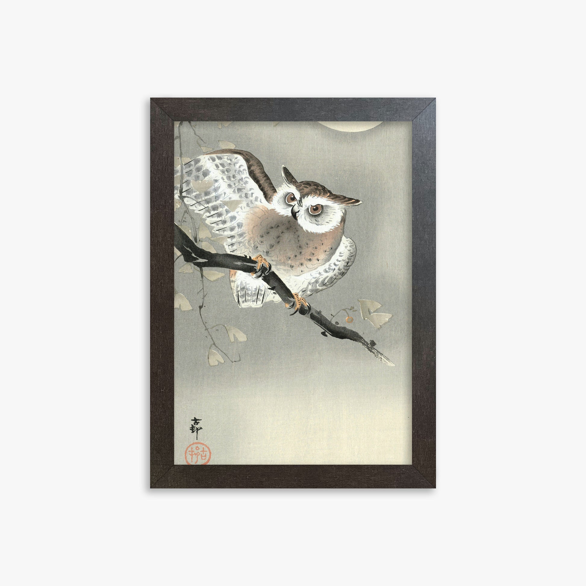 Ohara Koson: Long-Eared Owl in Ginkgo, 21x30cm Framed Art Reproduction With Espresso Frame