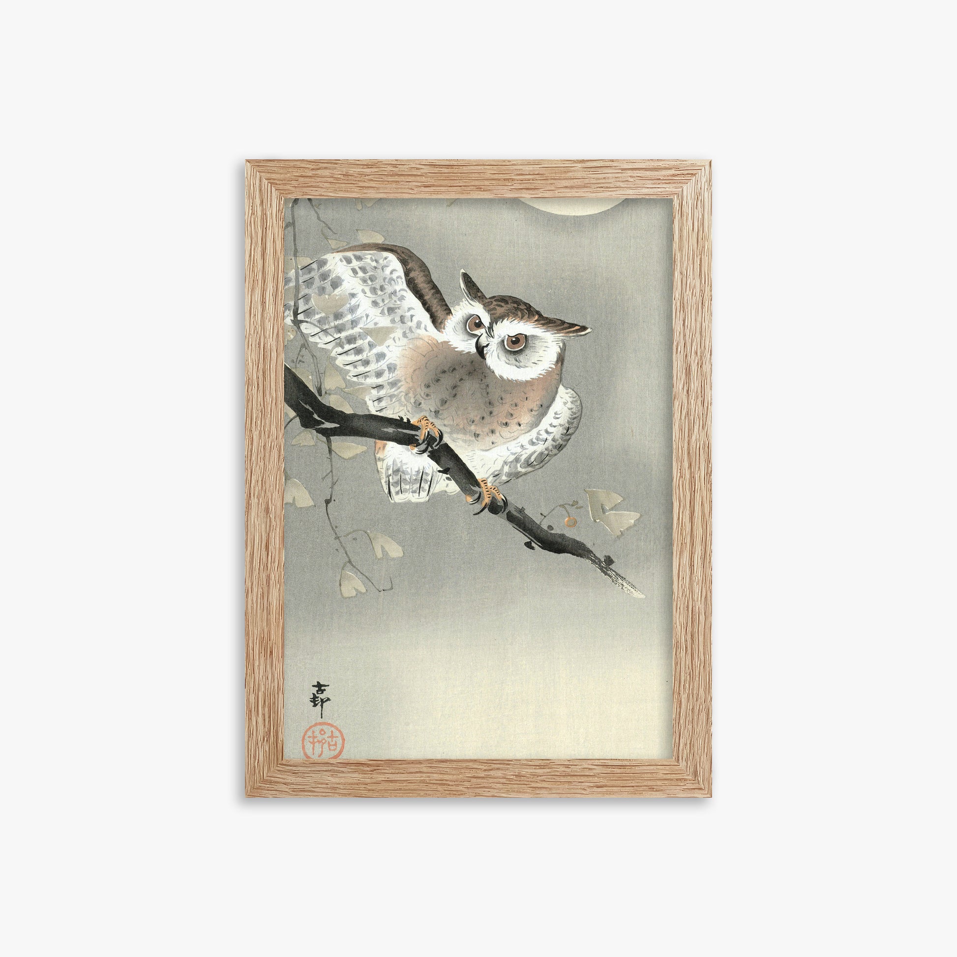 Ohara Koson: Long-Eared Owl in Ginkgo, 21x30cm Framed Art Reproduction With Raw Oak Frame