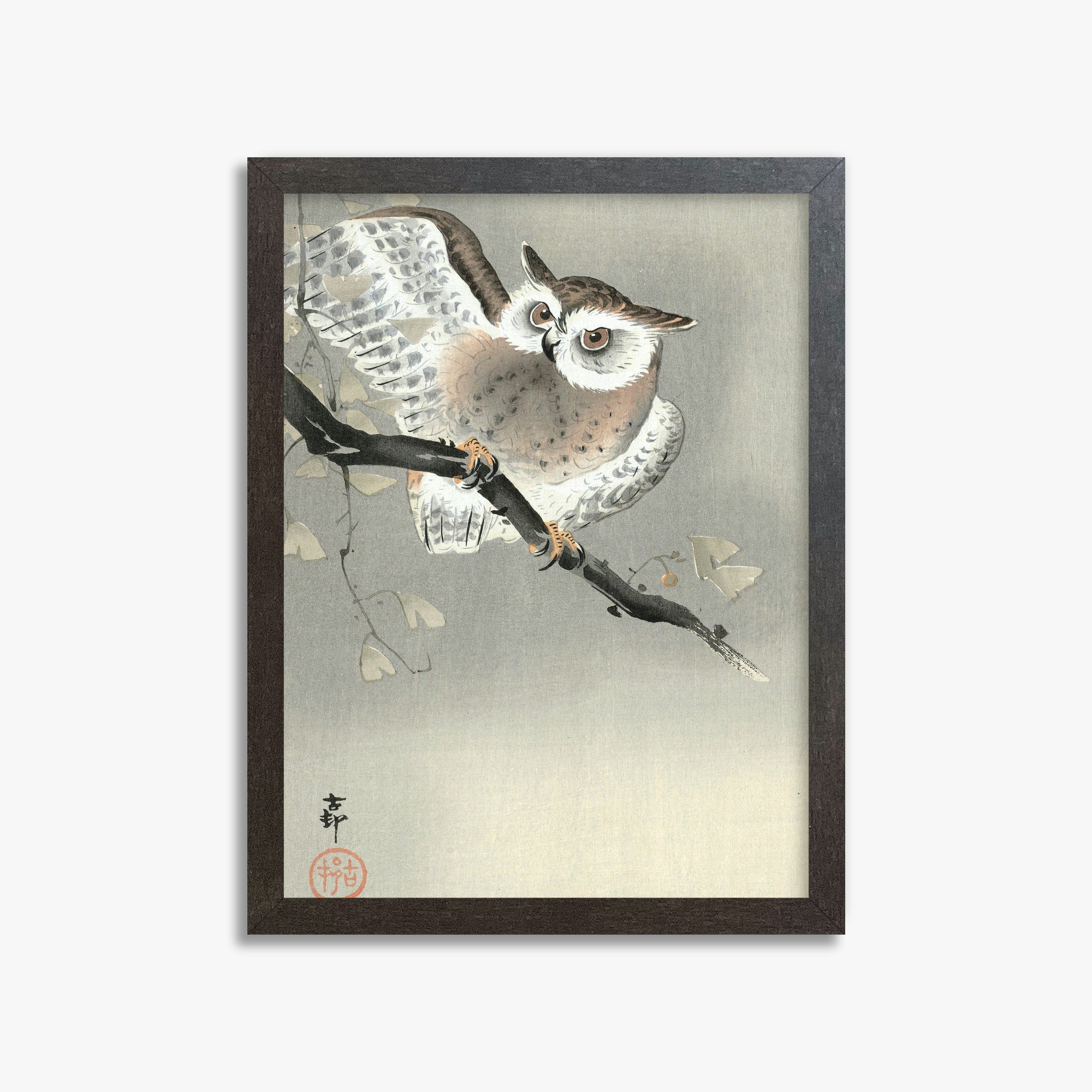 Ohara Koson: Long-Eared Owl in Ginkgo, 30x40cm Framed Art Reproduction With Espresso Frame
