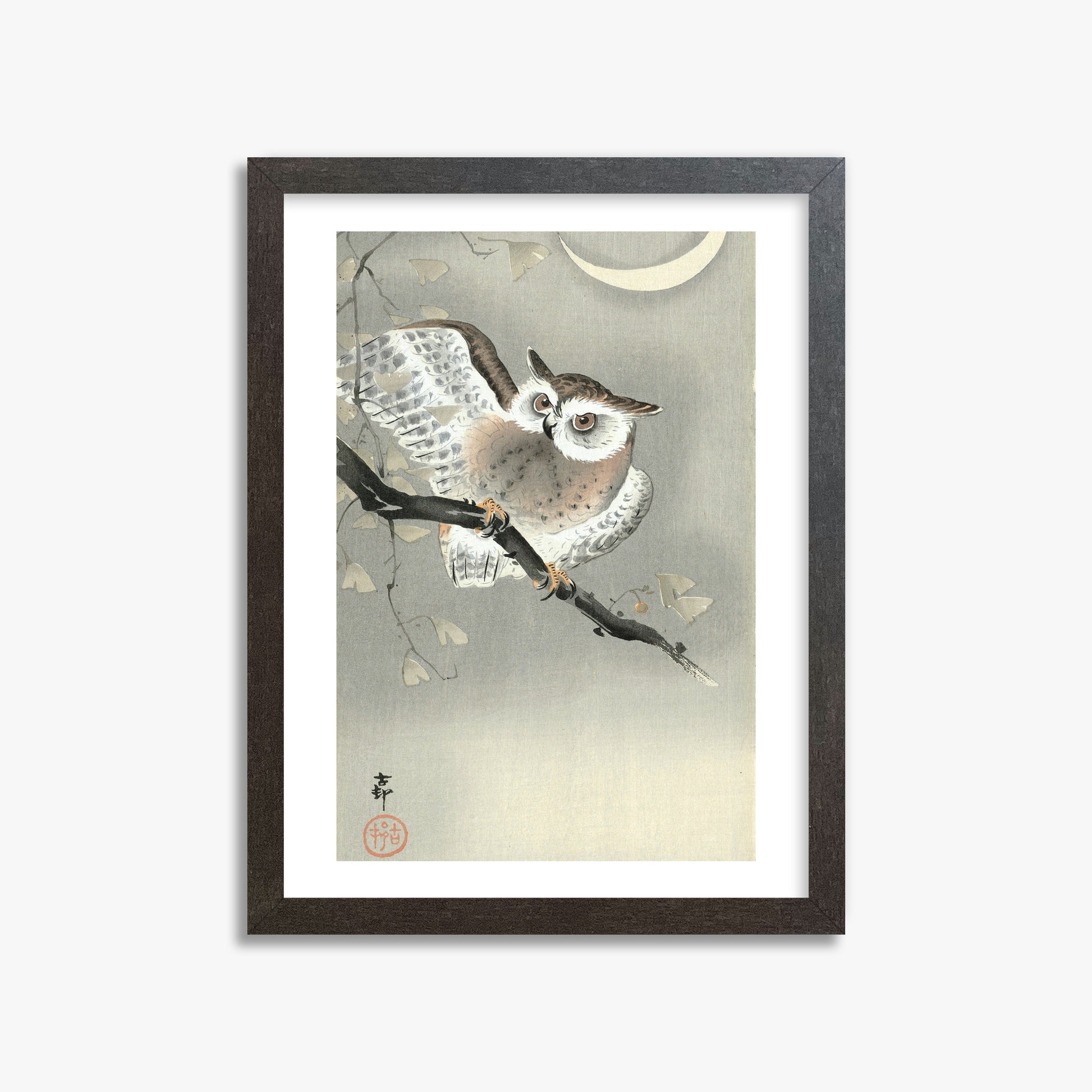 Ohara Koson: Long-Eared Owl in Ginkgo, 30x40cm Framed Art Reproduction With Espresso Frame