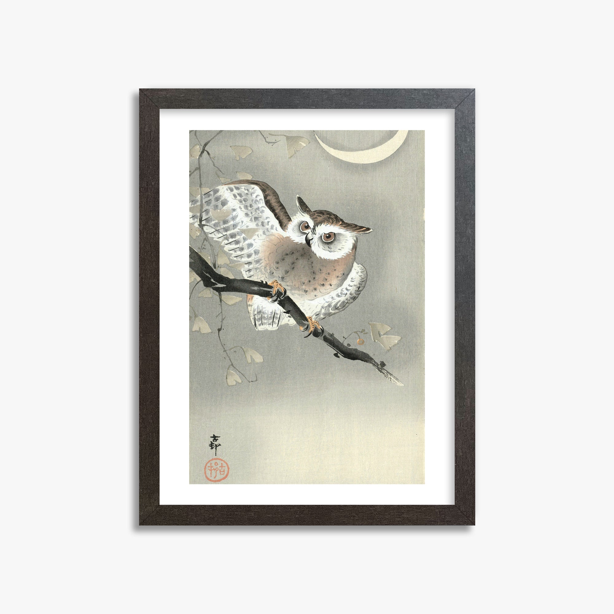 Ohara Koson: Long-Eared Owl in Ginkgo, 30x40cm Framed Art Reproduction With Espresso Frame
