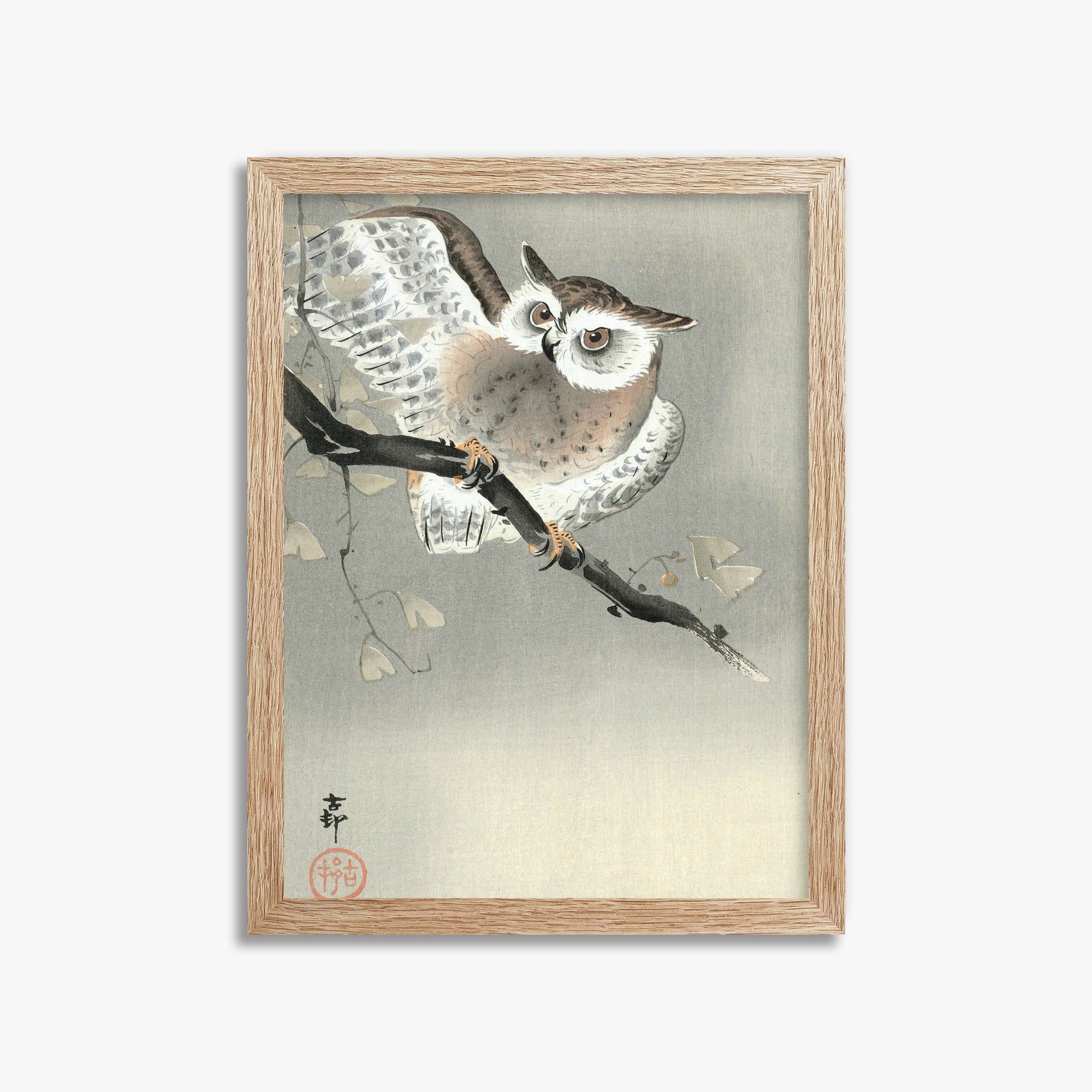 Ohara Koson: Long-Eared Owl in Ginkgo, 30x40cm Framed Art Reproduction With Raw Oak Frame