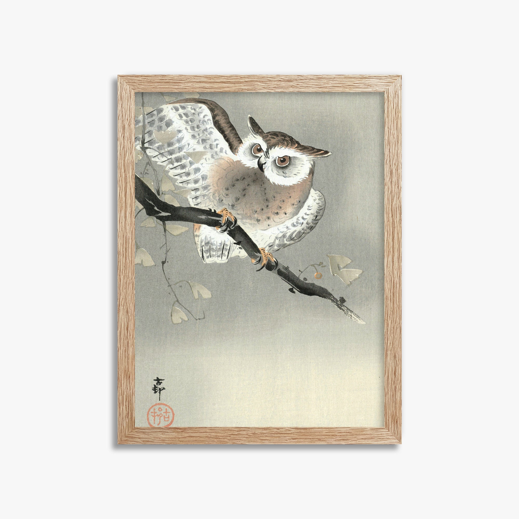 Ohara Koson: Long-Eared Owl in Ginkgo, 30x40cm Framed Art Reproduction With Raw Oak Frame
