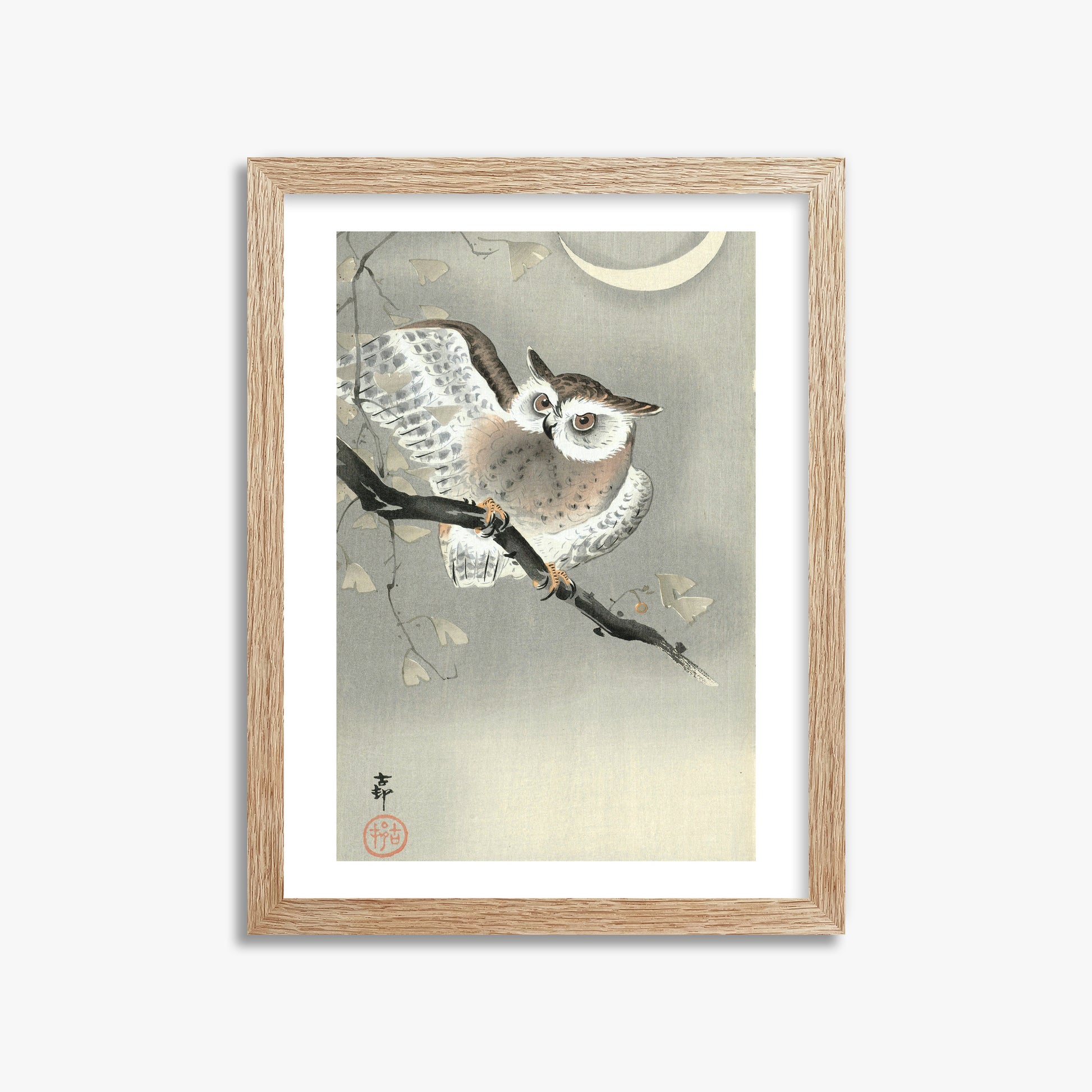 Ohara Koson: Long-Eared Owl in Ginkgo, 30x40cm Framed Art Reproduction With Raw Oak Frame