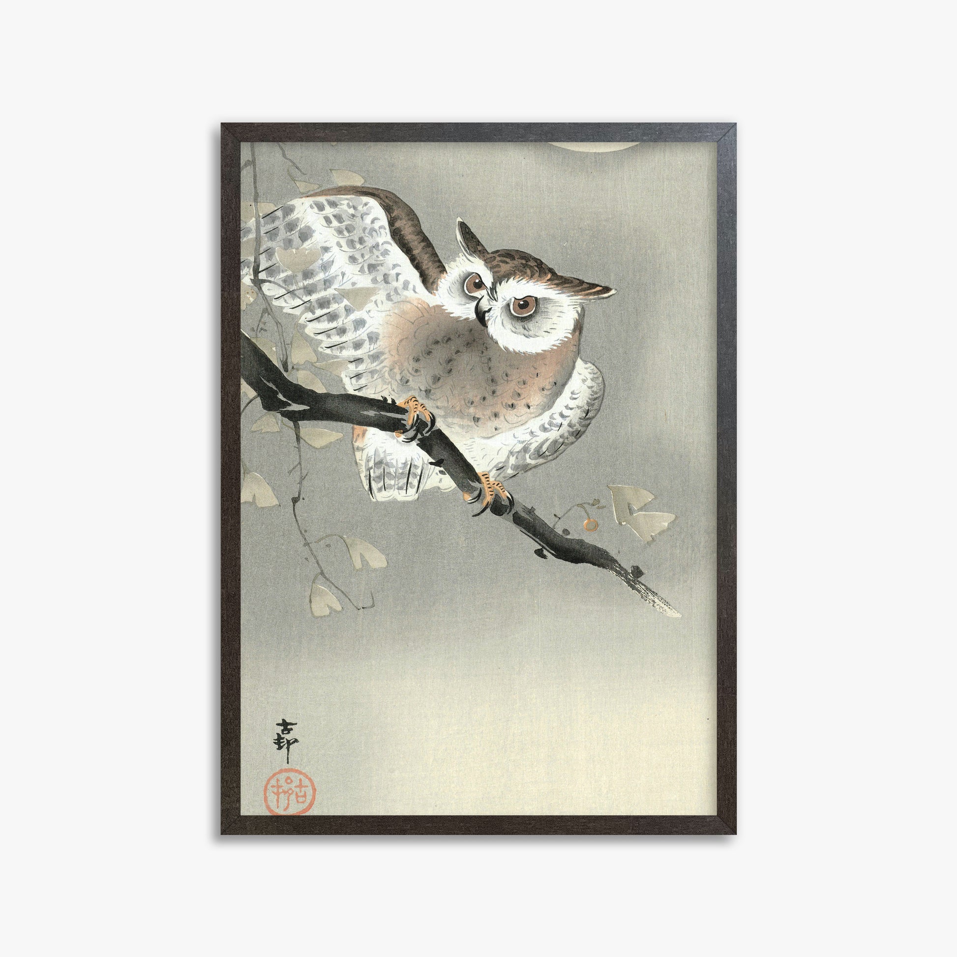 Ohara Koson: Long-Eared Owl in Ginkgo, 50x70cm Framed Art Reproduction With Espresso Frame