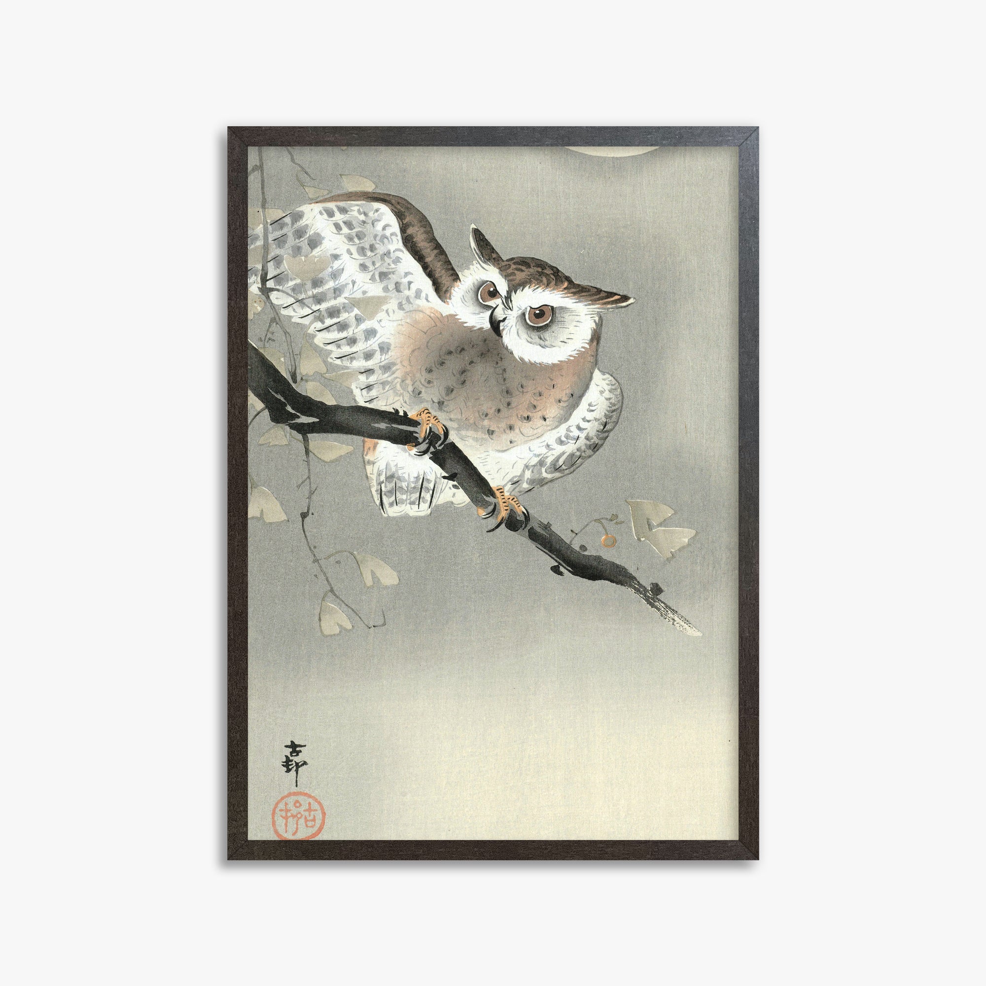 Ohara Koson: Long-Eared Owl in Ginkgo, 50x70cm Framed Art Reproduction With Espresso Frame