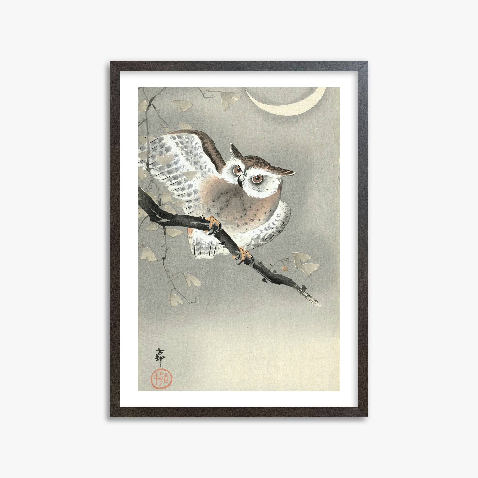 Ohara Koson: Long-Eared Owl in Ginkgo, 50x70cm Framed Art Reproduction With Espresso Frame