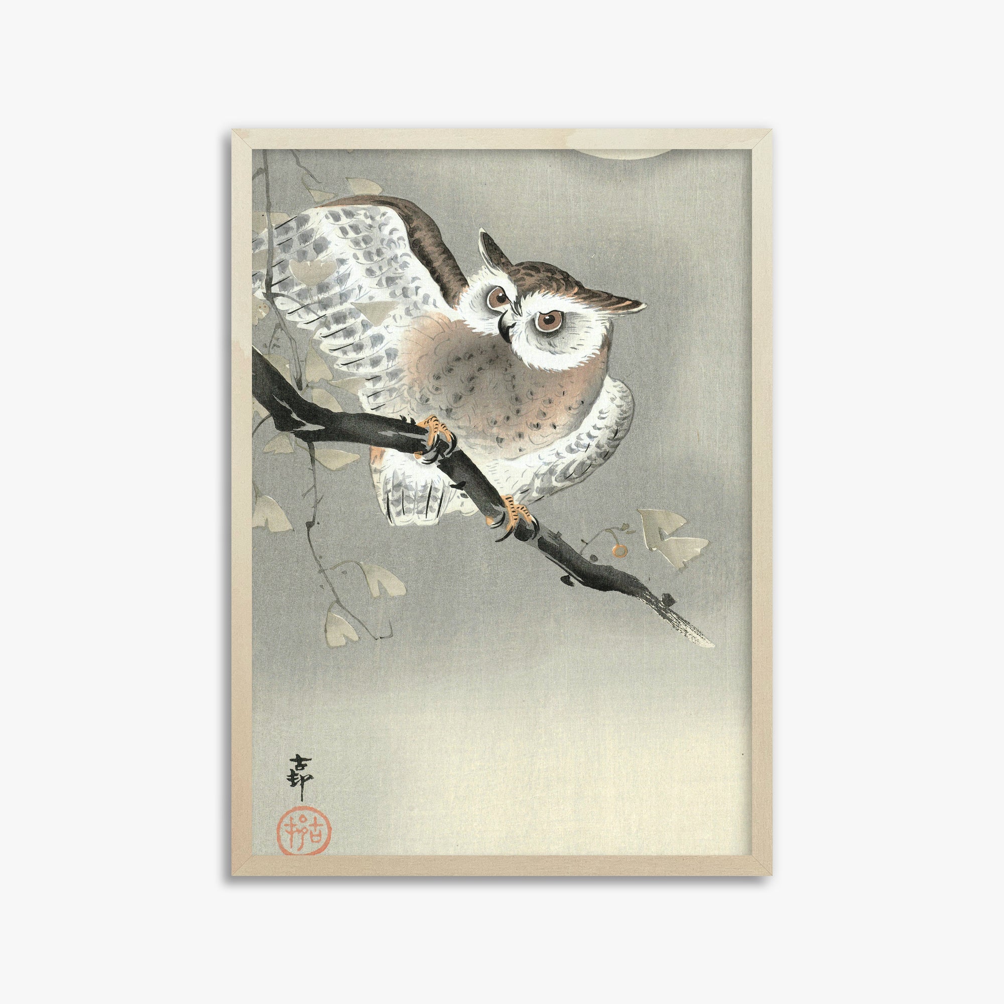 Ohara Koson: Long-Eared Owl in Ginkgo, 50x70cm Framed Art Reproduction With Lime Wood Frame