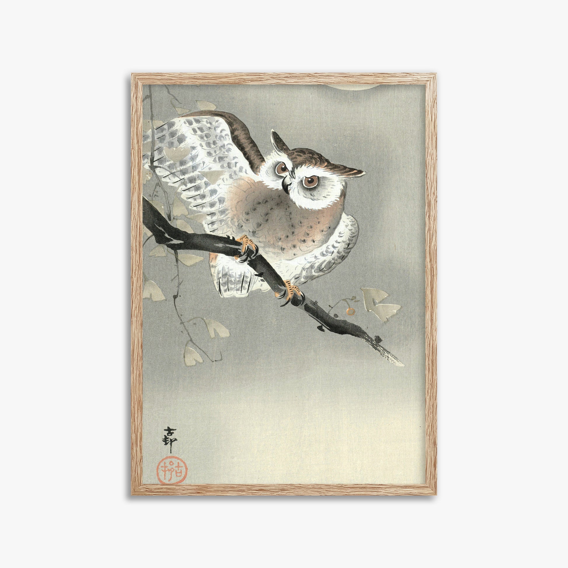 Ohara Koson: Long-Eared Owl in Ginkgo, 50x70cm Framed Art Reproduction With Raw Oak Frame