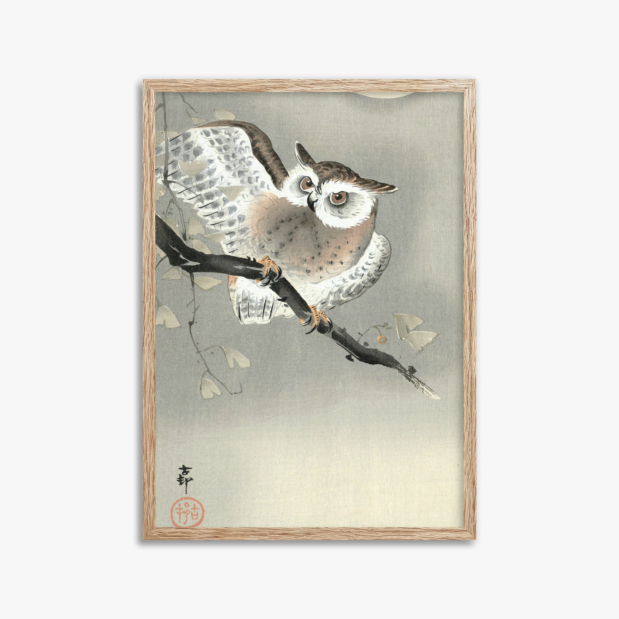 Ohara Koson: Long-Eared Owl in Ginkgo, 50x70cm Framed Art Reproduction With Raw Oak Frame