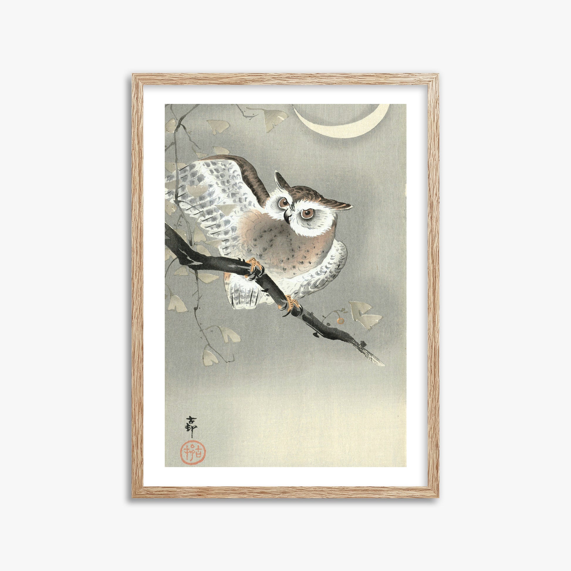 Ohara Koson: Long-Eared Owl in Ginkgo, 50x70cm Framed Art Reproduction With Raw Oak Frame