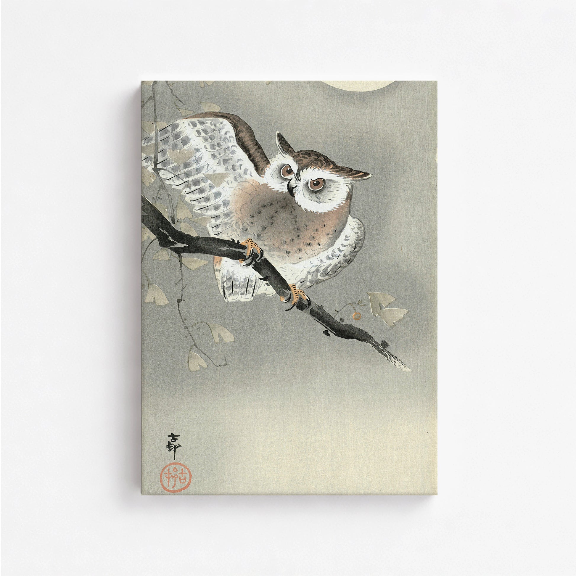 Ohara Koson: Long-Eared Owl in Ginkgo, 50x70cm Satin Canvas Art Reproduction