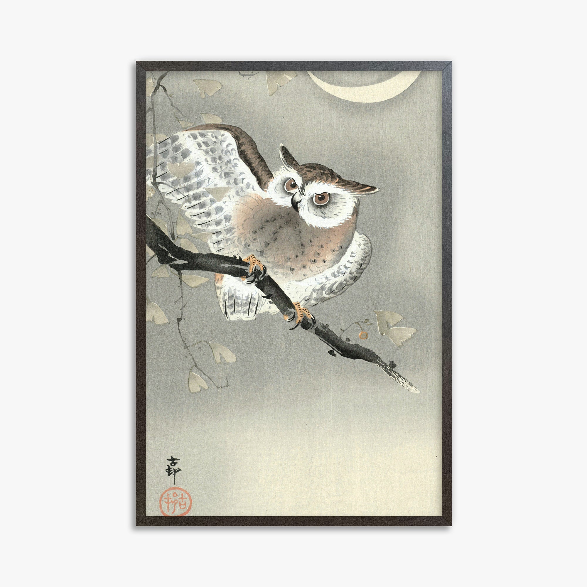 Ohara Koson: Long-Eared Owl in Ginkgo, 61x91cm Framed Art Reproduction With Espresso Frame