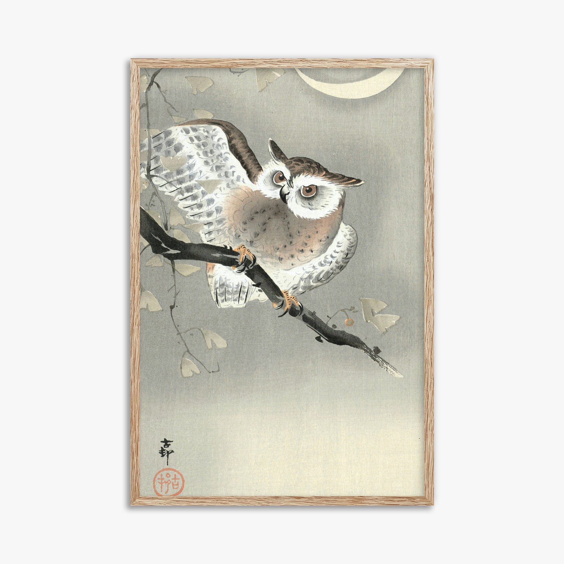 Ohara Koson: Long-Eared Owl in Ginkgo, 61x91cm Framed Art Reproduction With Raw Oak Frame
