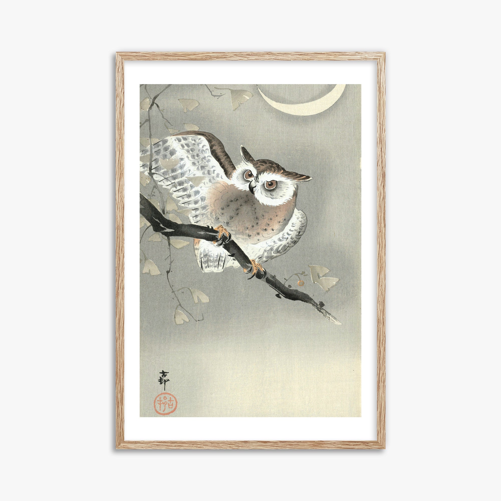 Ohara Koson: Long-Eared Owl in Ginkgo, 61x91cm Framed Art Reproduction With Raw Oak Frame