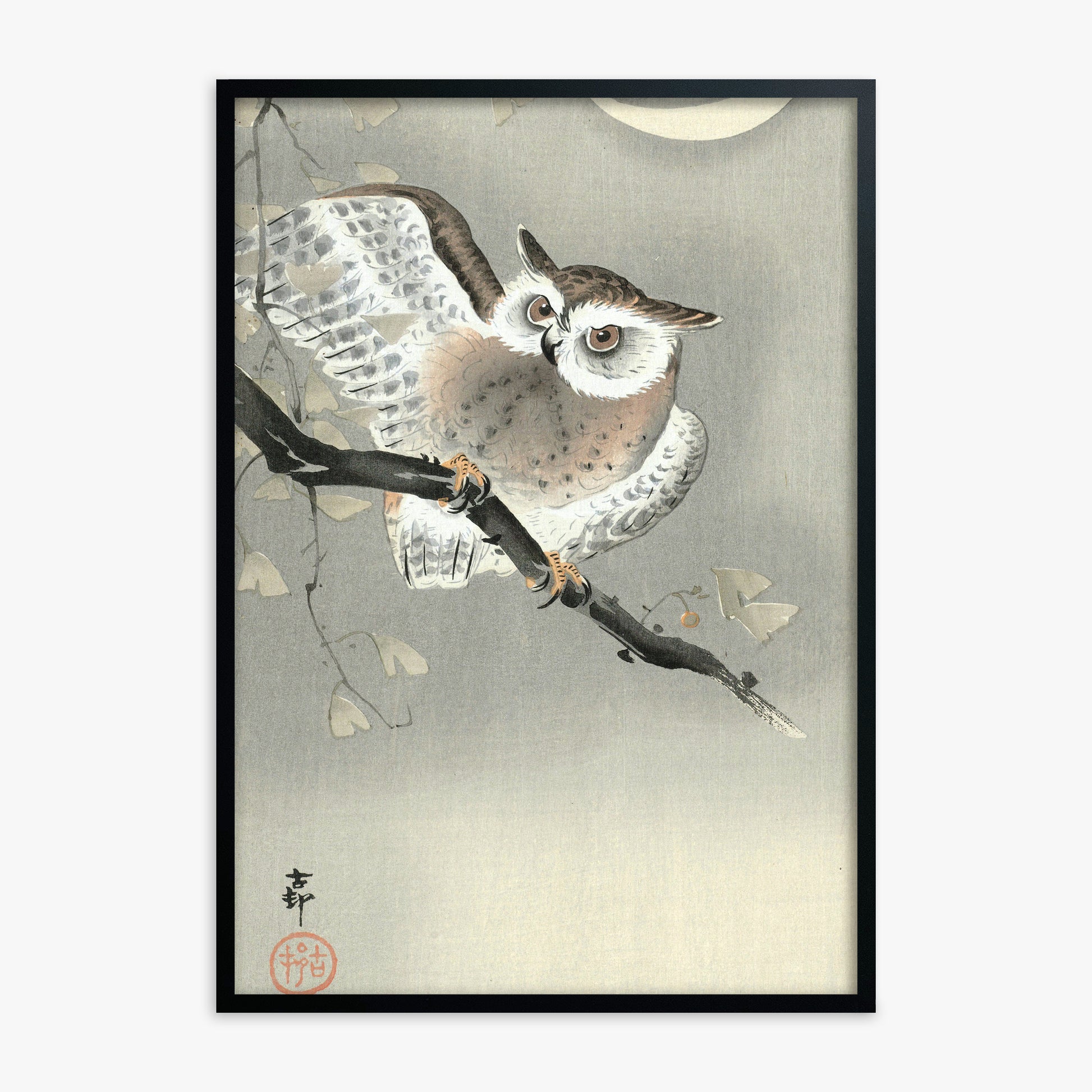 Ohara Koson: Long-Eared Owl in Ginkgo, Black Framed Art Reproduction With Black Frame