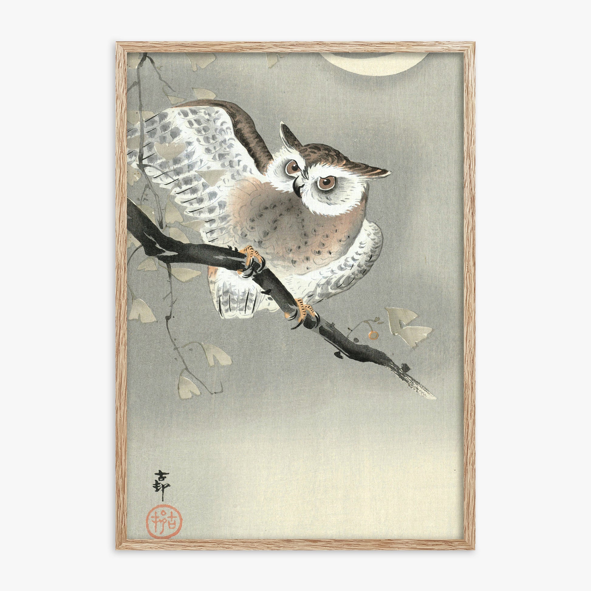 Ohara Koson: Long-Eared Owl in Ginkgo, 70x100cm Framed Art Reproduction With Raw Oak Frame