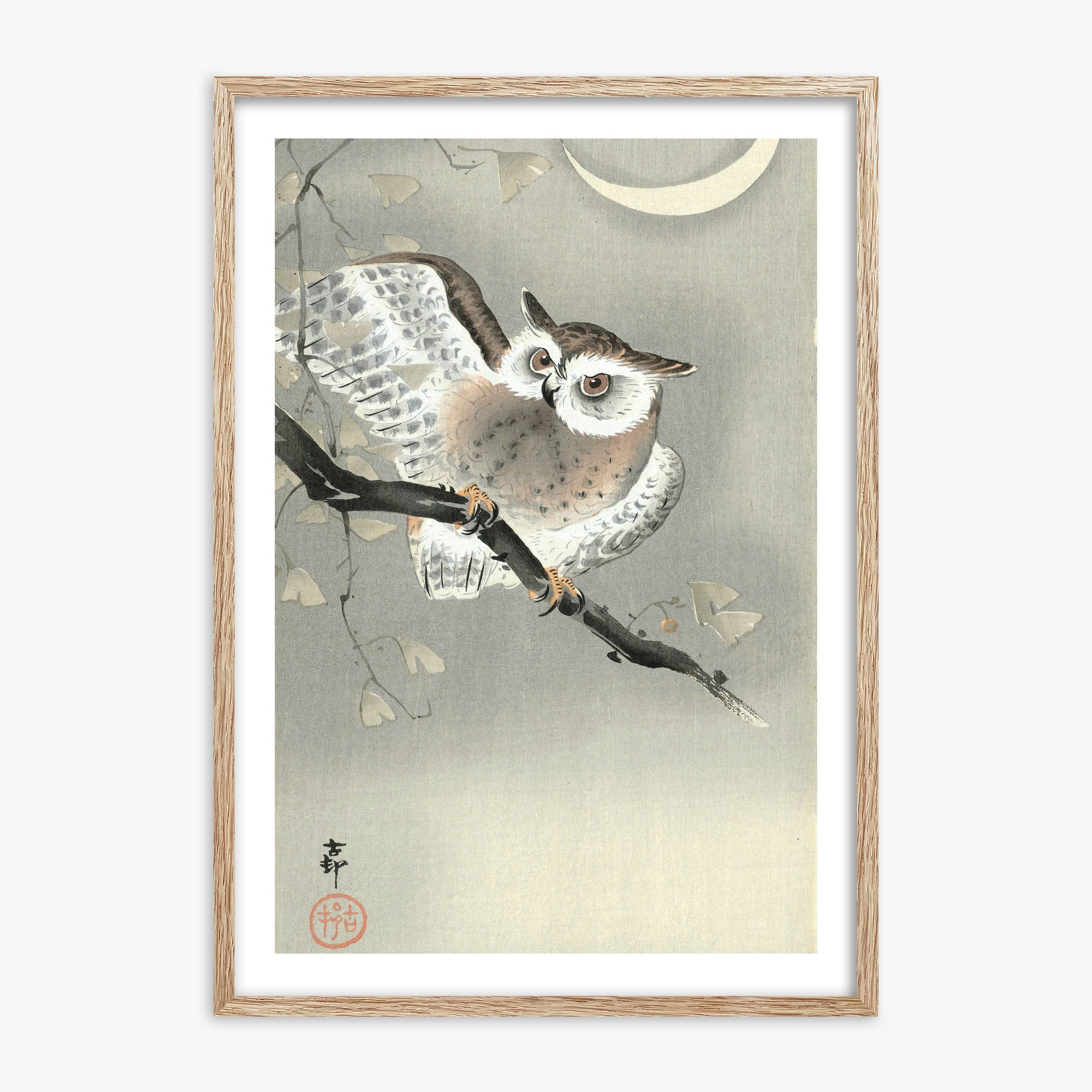 Ohara Koson: Long-Eared Owl in Ginkgo, 70x100cm Framed Art Reproduction With Raw Oak Frame