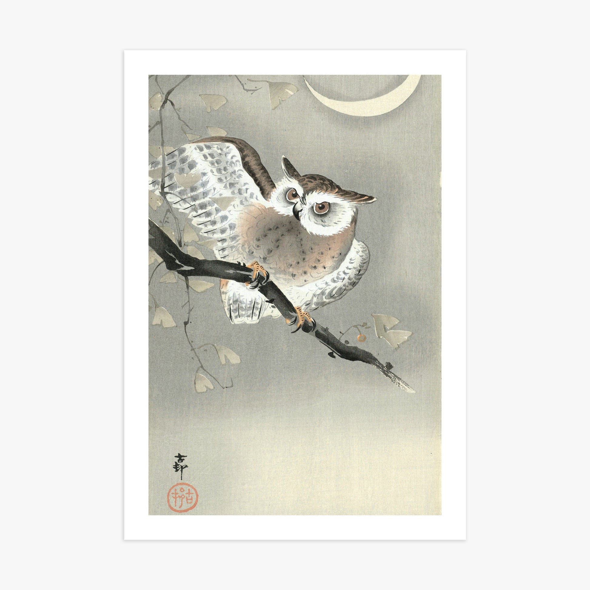 Ohara Koson: Long-Eared Owl in Ginkgo, 70x100cm Printed Poster