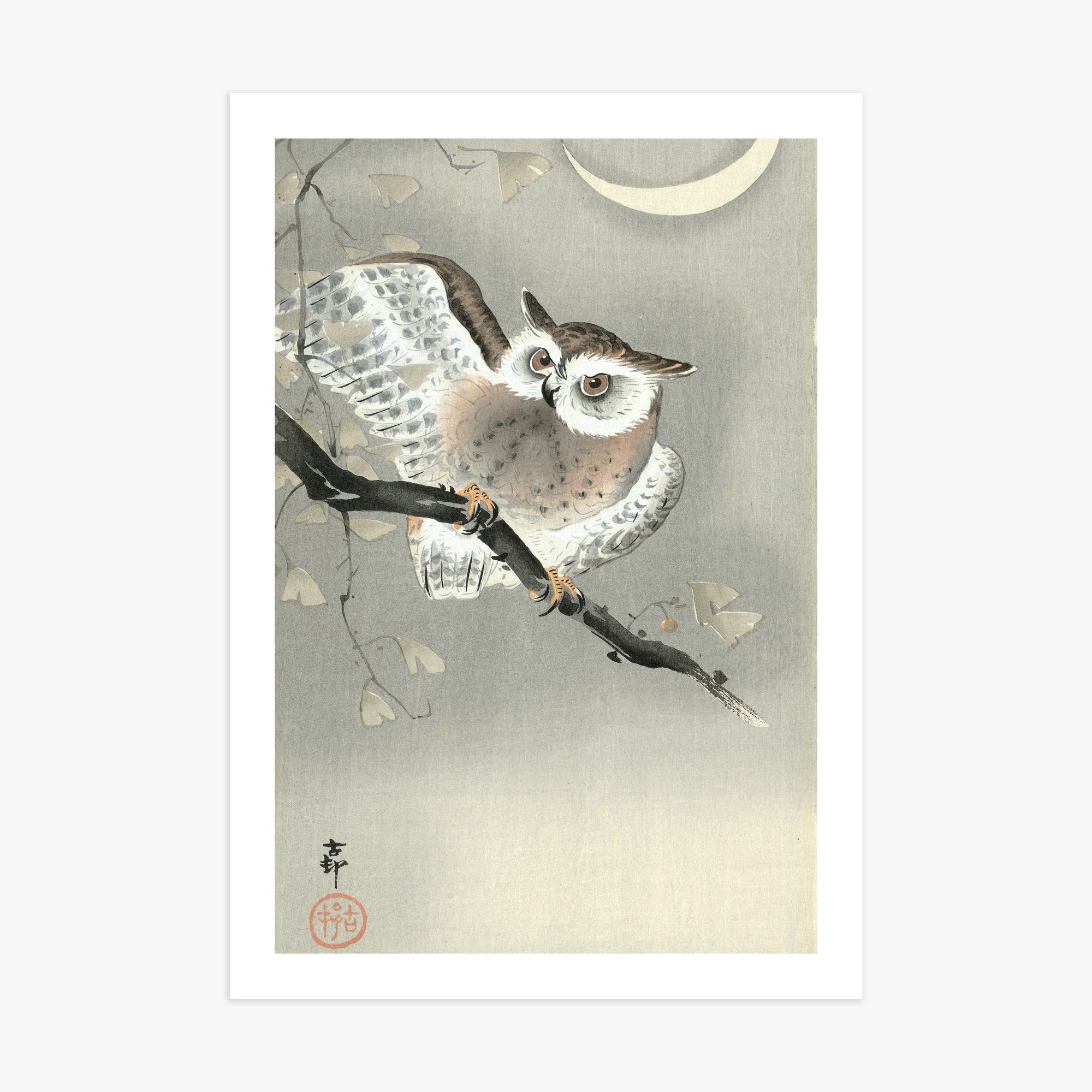 Ohara Koson: Long-Eared Owl in Ginkgo, 70x100cm Printed Poster