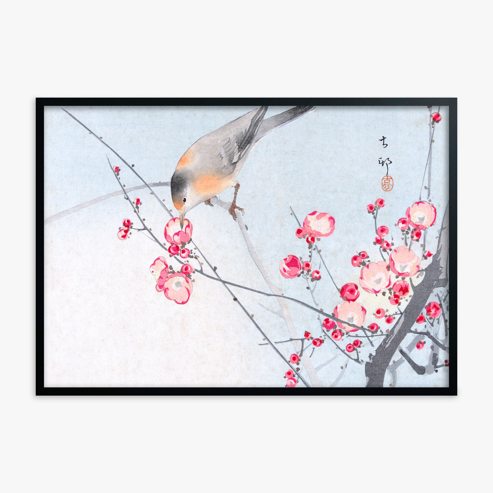 Ohara Koson: Songbird on Blossom Branch, Black Framed Art Reproduction With Black Frame