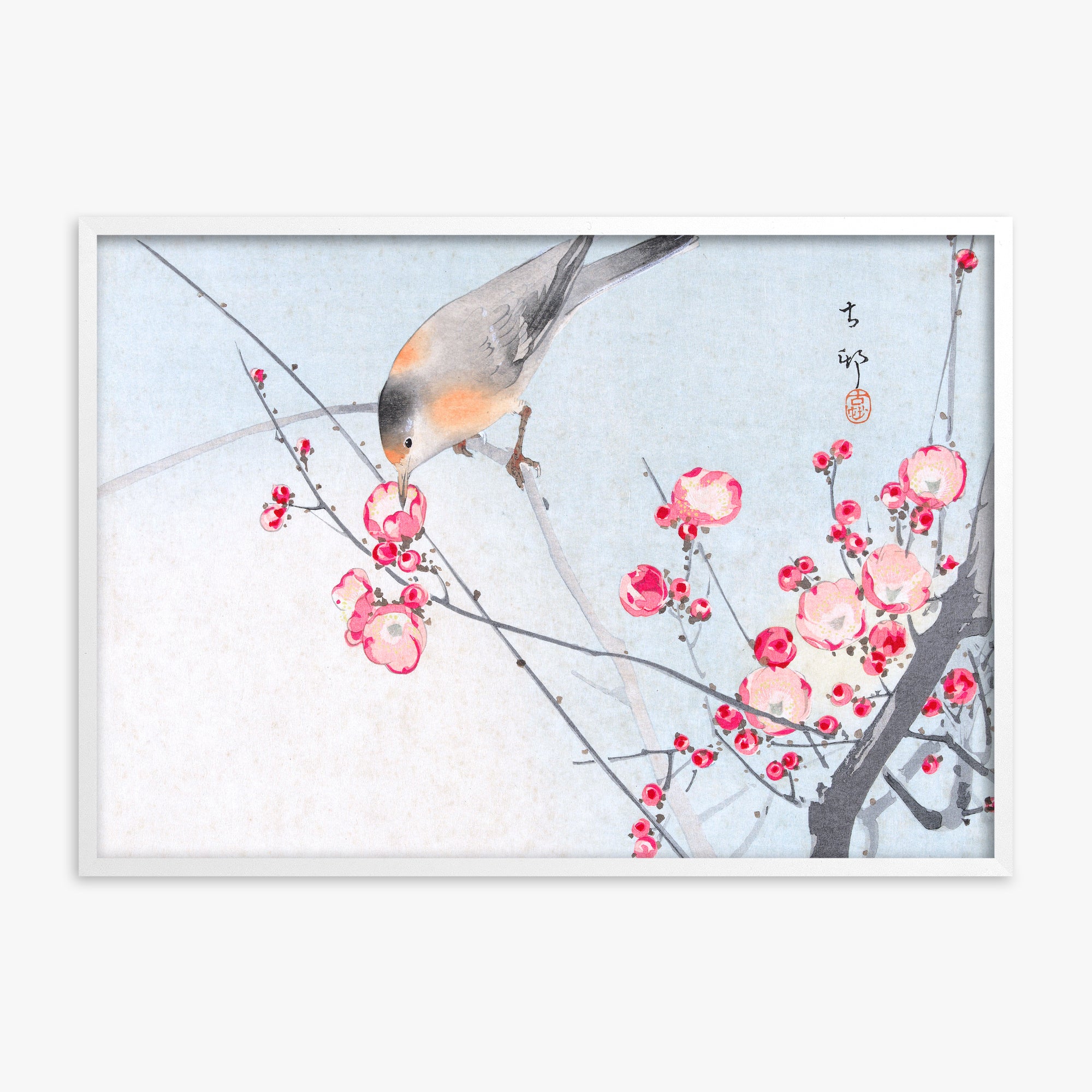 Ohara Koson: Songbird on Blossom Branch, White Framed Art Reproduction With White Frame