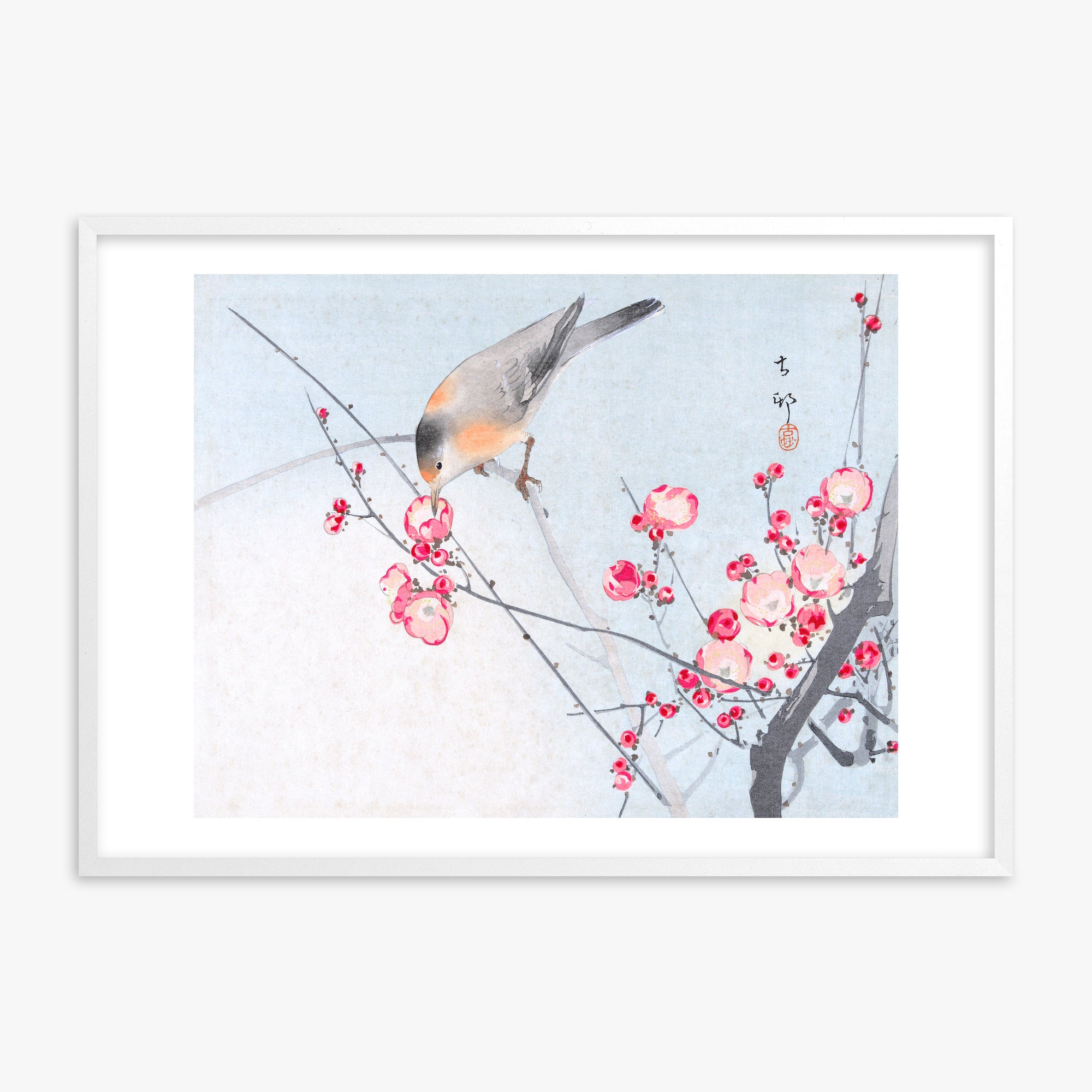 Ohara Koson: Songbird on Blossom Branch, White Framed Art Reproduction With White Frame