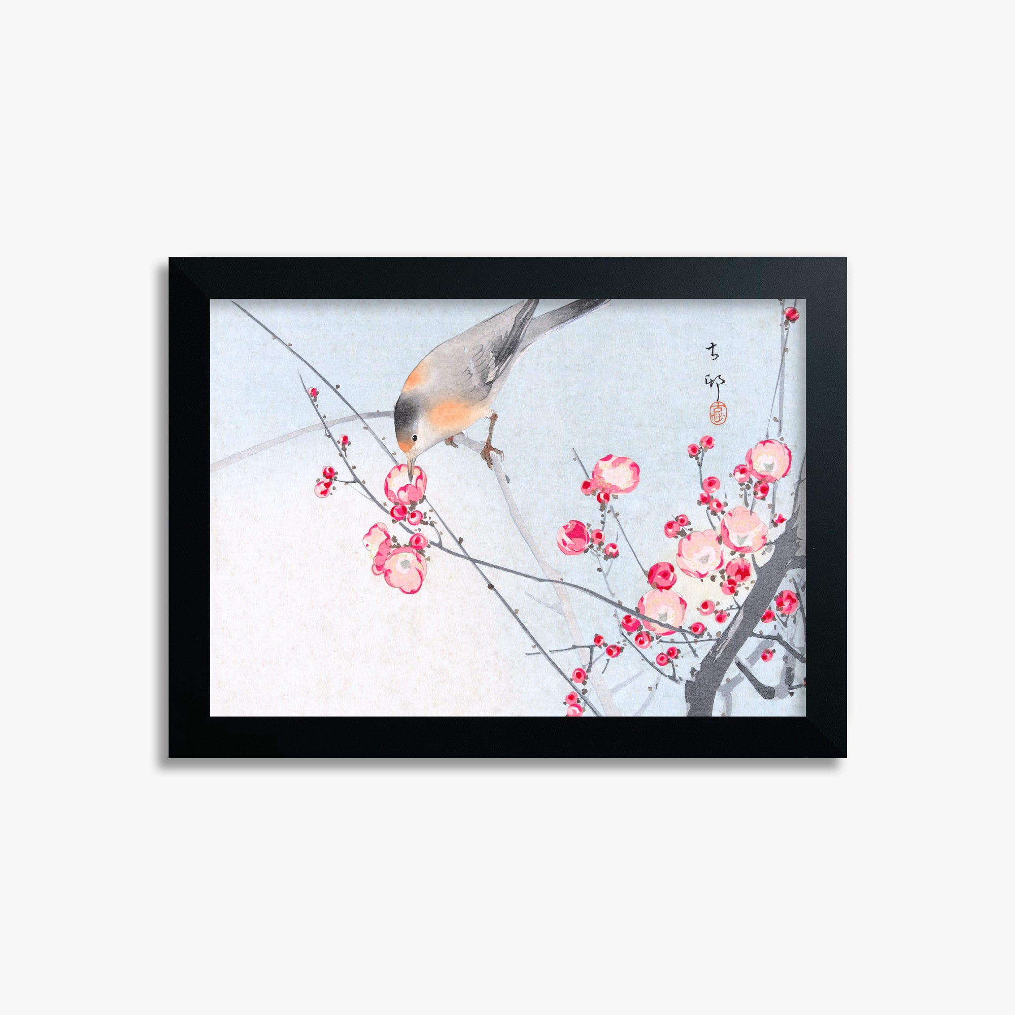 Ohara Koson: Songbird on Blossom Branch, 21x30cm Framed Art Reproduction With Black Frame