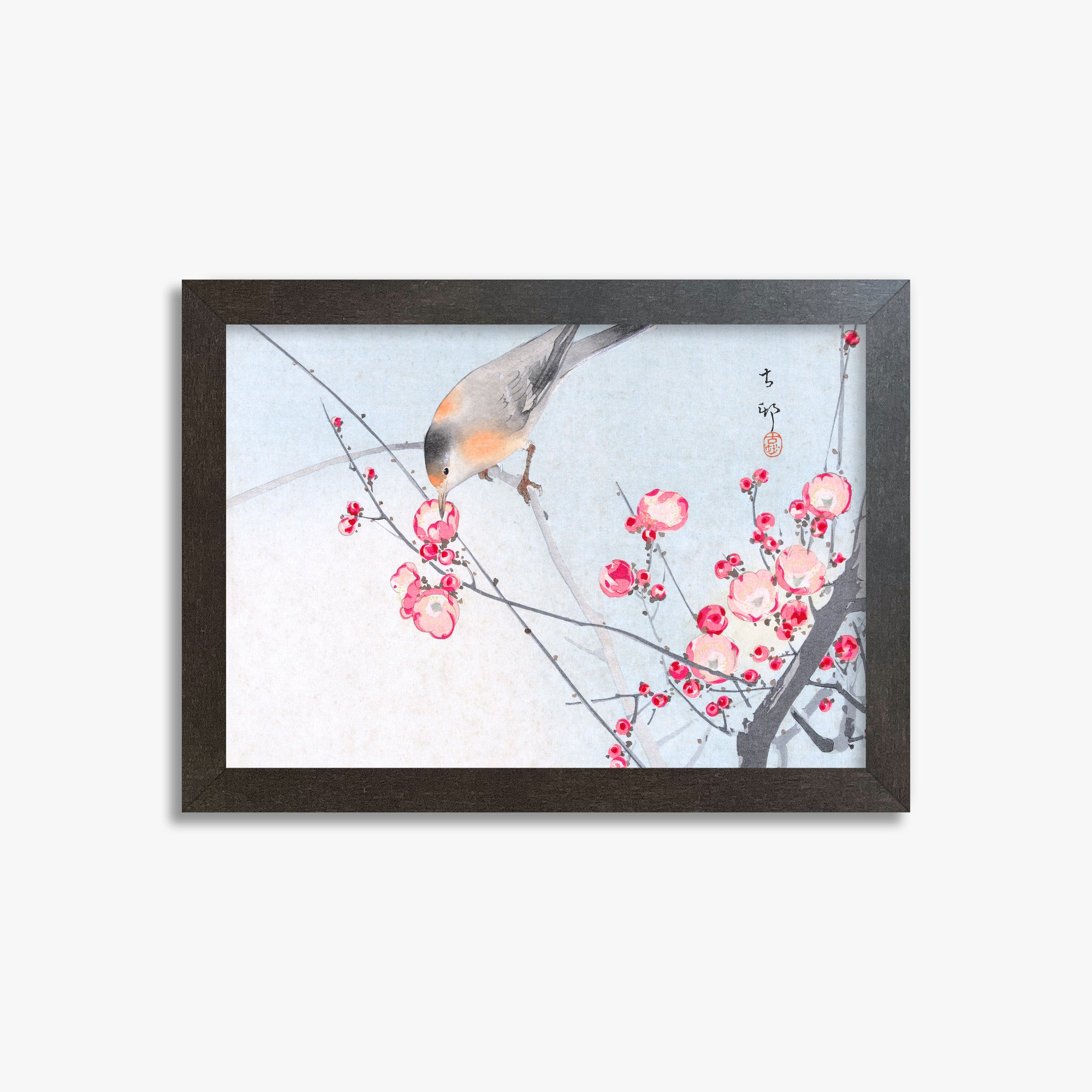 Ohara Koson: Songbird on Blossom Branch, 21x30cm Framed Art Reproduction With Espresso Frame