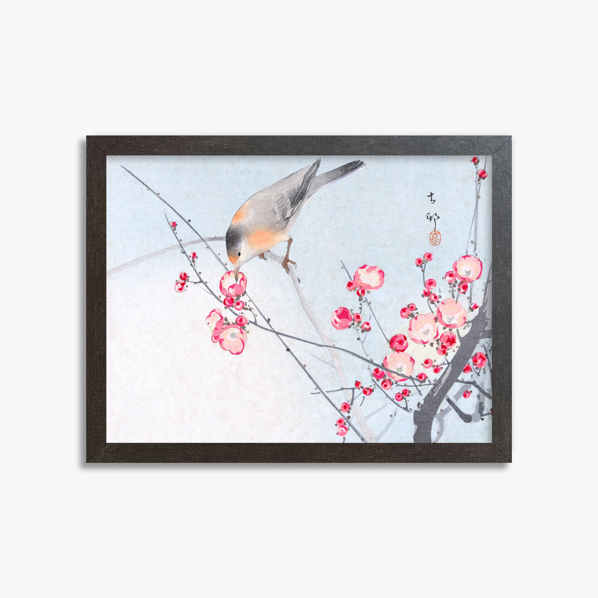 Ohara Koson: Songbird on Blossom Branch, 30x40cm Framed Art Reproduction With Espresso Frame