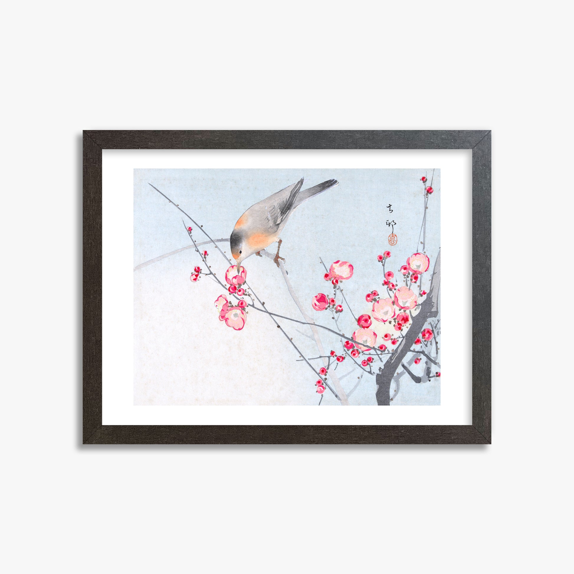 Ohara Koson: Songbird on Blossom Branch, 30x40cm Framed Art Reproduction With Espresso Frame