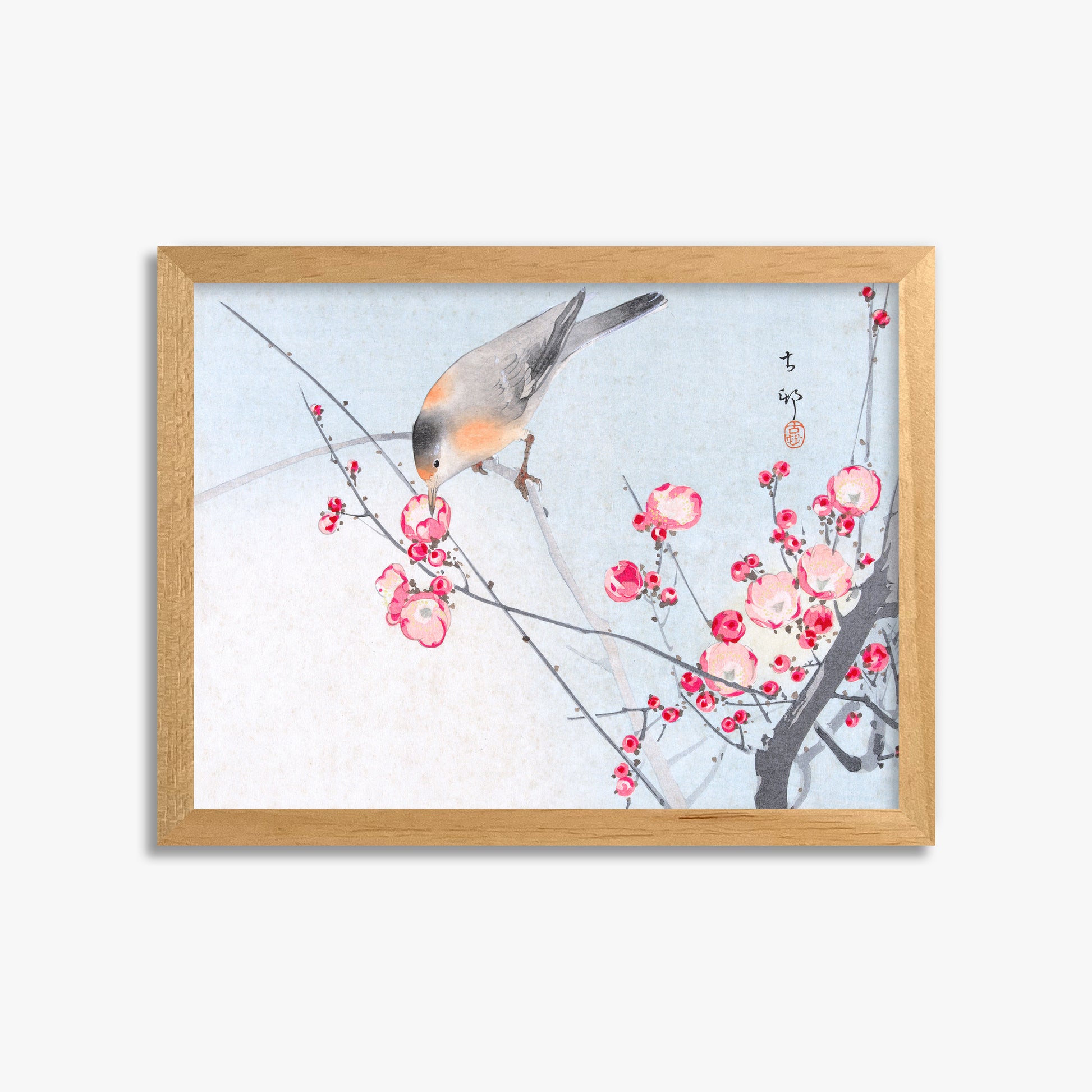 Ohara Koson: Songbird on Blossom Branch, 30x40cm Framed Art Reproduction With Oak Frame